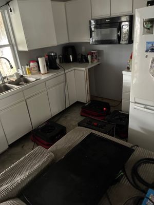 Mold Remediation — Marco Island, FL