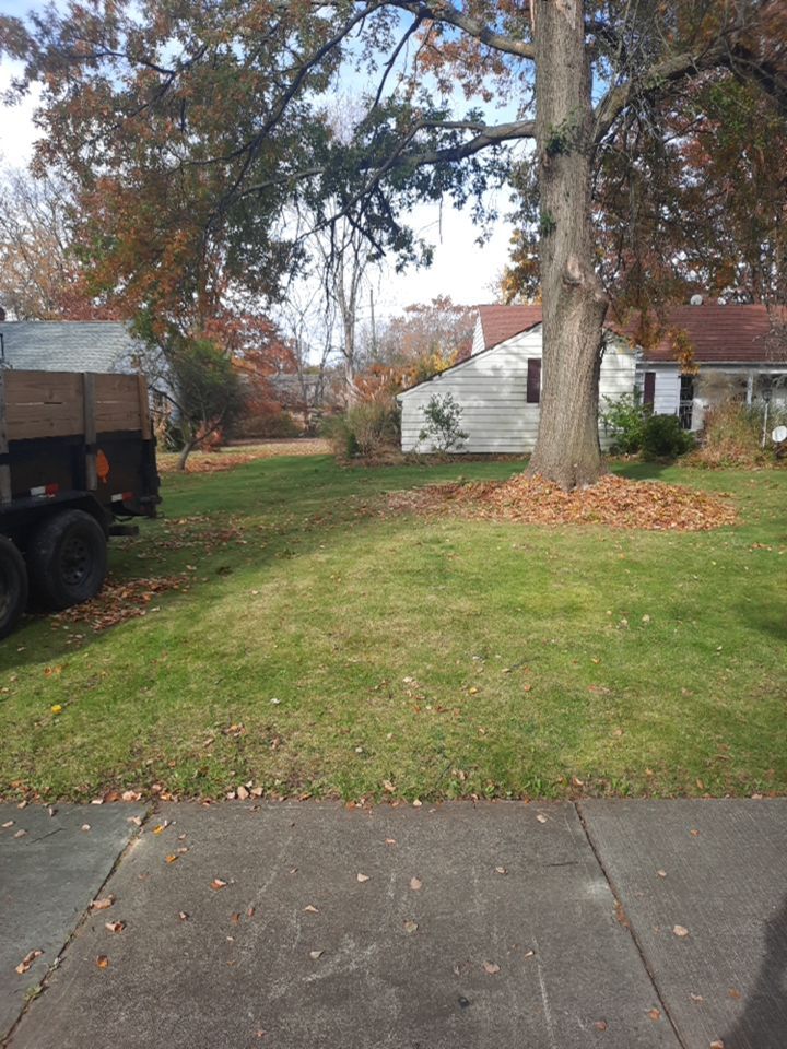 Tree Removal using Tree Removal by Mike Jones & Sons Tree Service LLC 