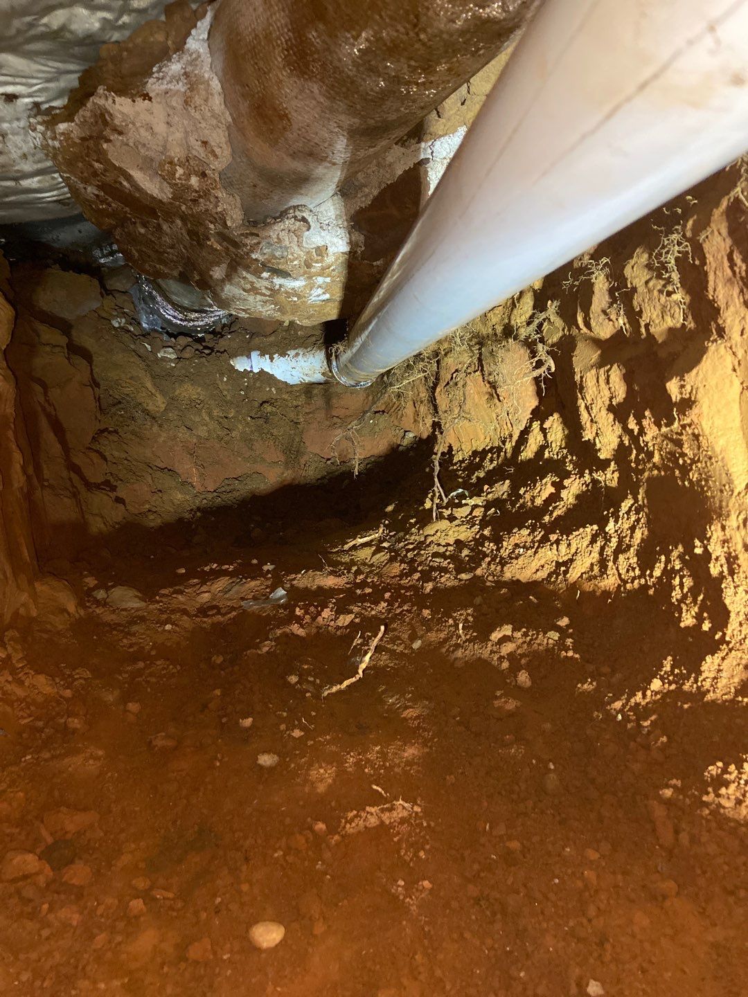 Project in Newcastle by PRO-ROOTER