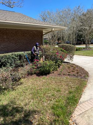 Deerwood Resident | Sod Install & Shrub Removal