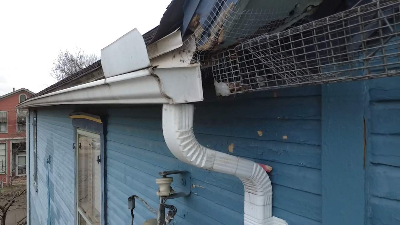 That darn varmint! by Level Up Roofing and Restoration Services LLC