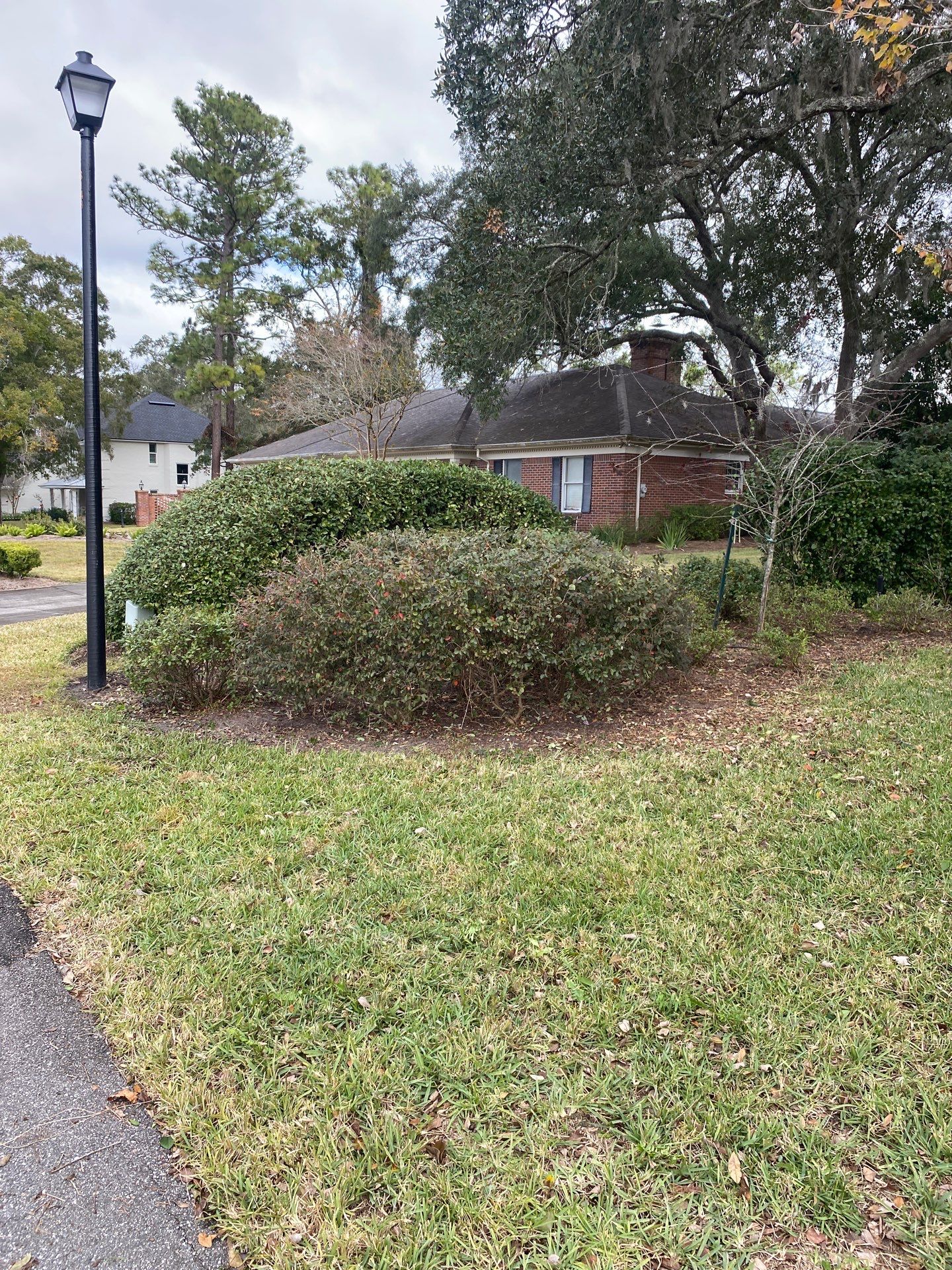 Deerwood Resident | Extreme Cleanup by ProGreen Services