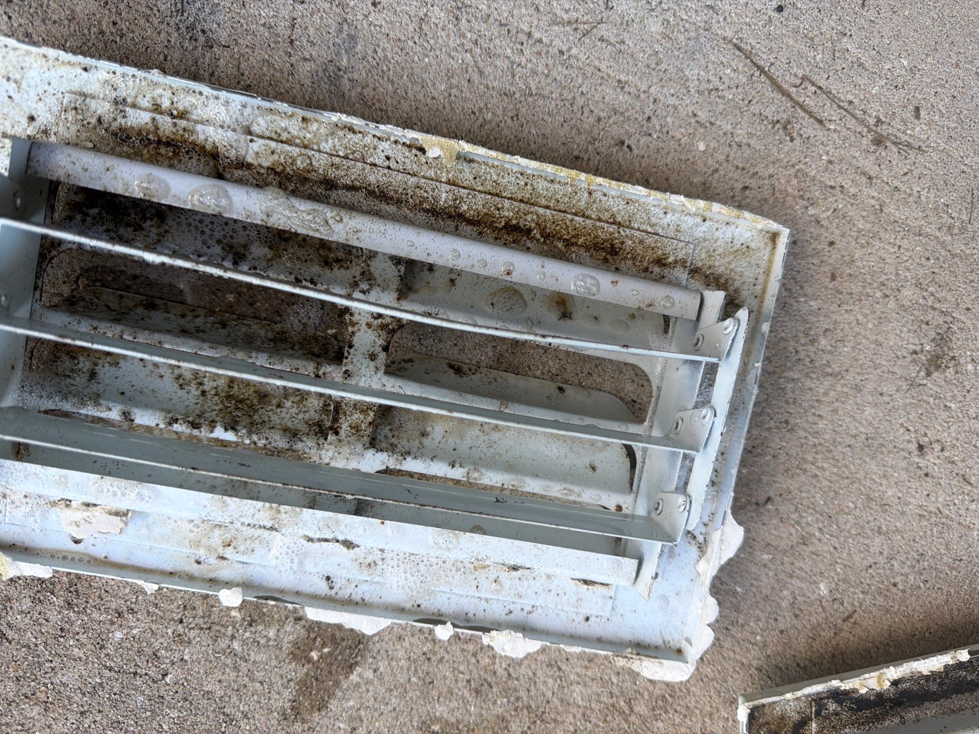 Air Duct Cleaning in Clermont by Hygienic Air, Inc