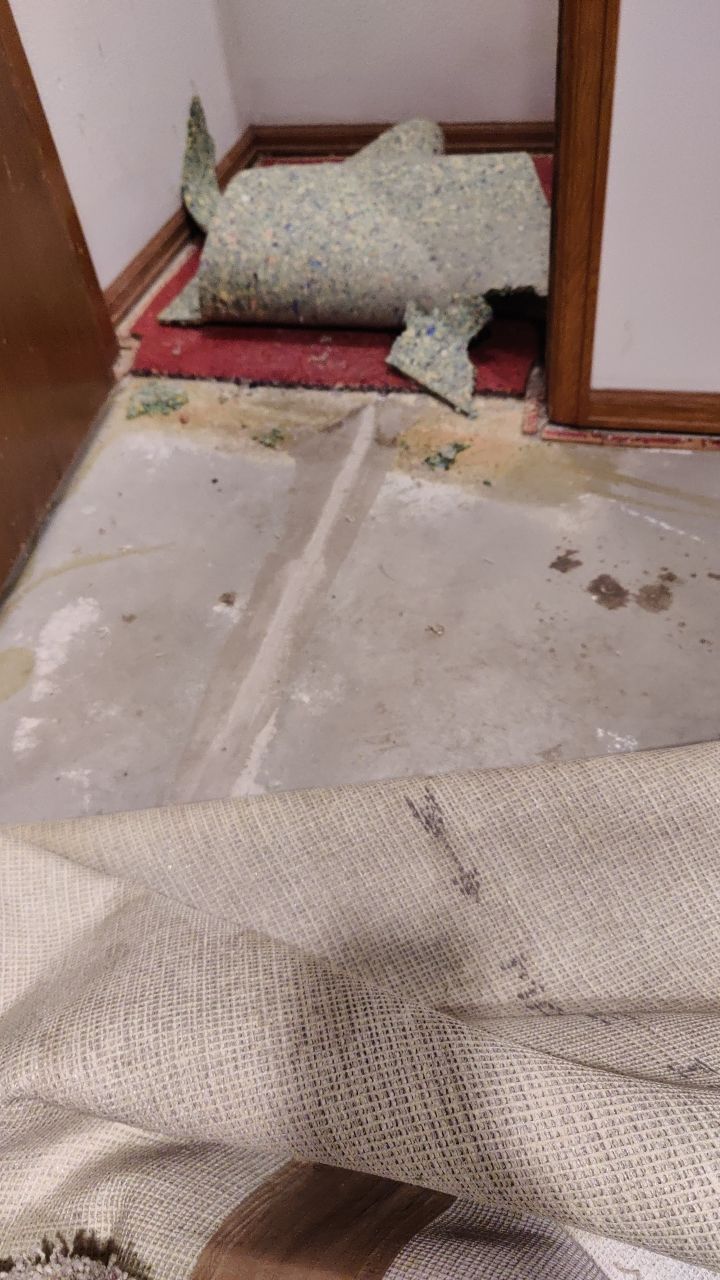 Water Damage  by Accountable Home Services