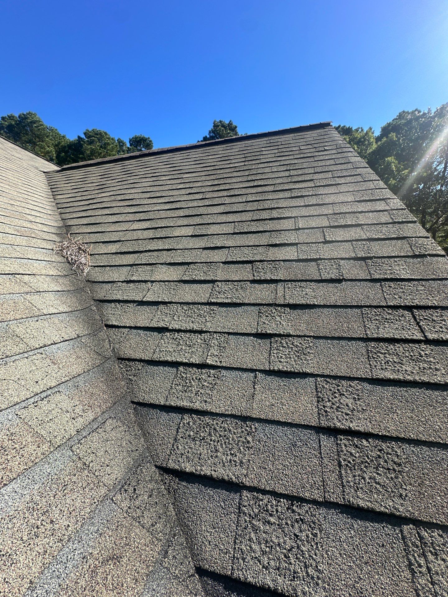 Mathews Residential Roof Replacement Using Owens Corning Duration Shingles by Cade Construction