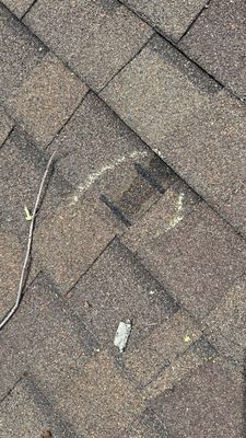 Turtle Shell gutter protection installation in Naperville, IL 60563, photograph 24