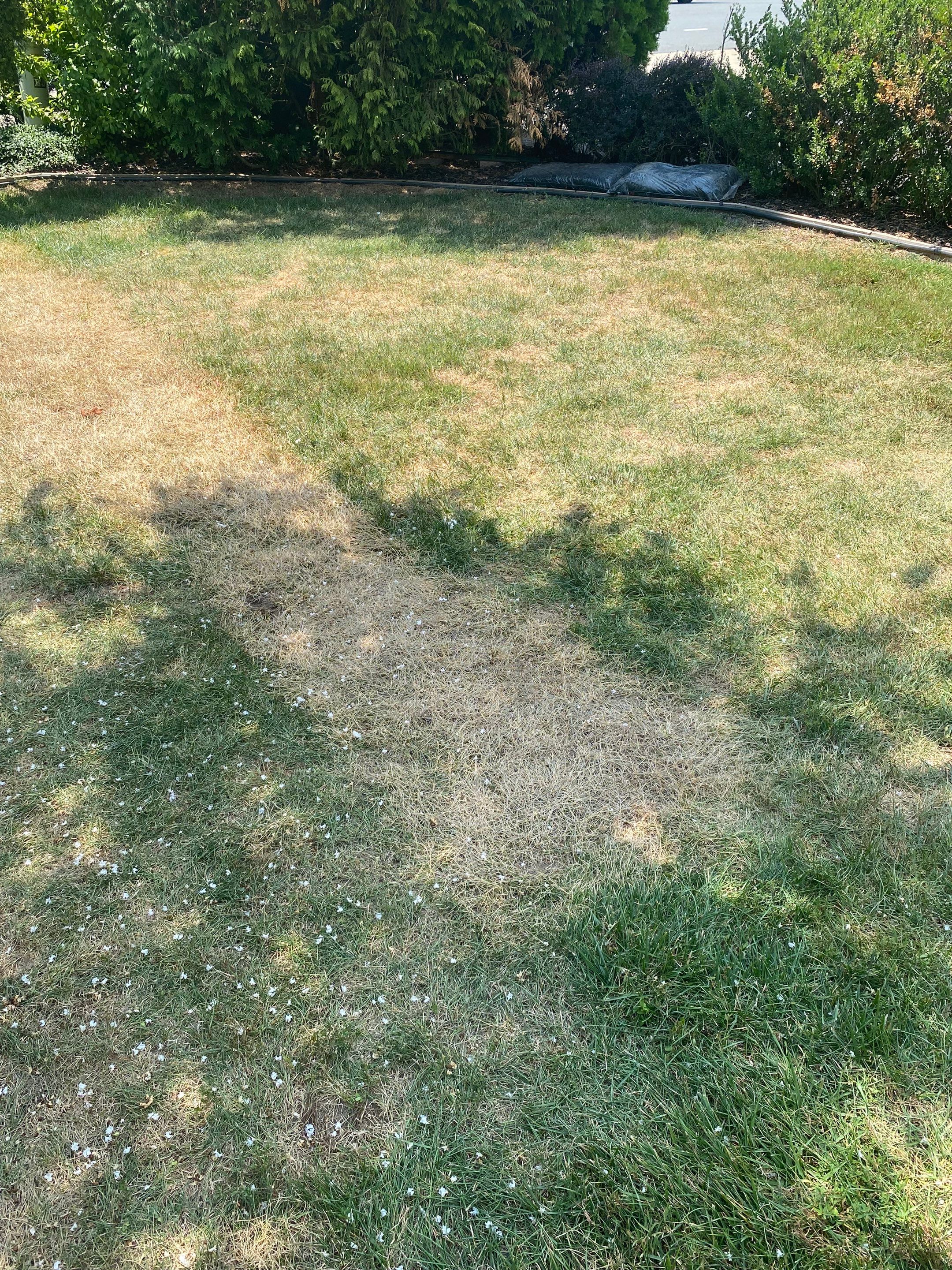 McLean: Residential Roof Installation with Landmark Pro Designer Shingles in Max Def Moire Black by RM Banning, Inc.