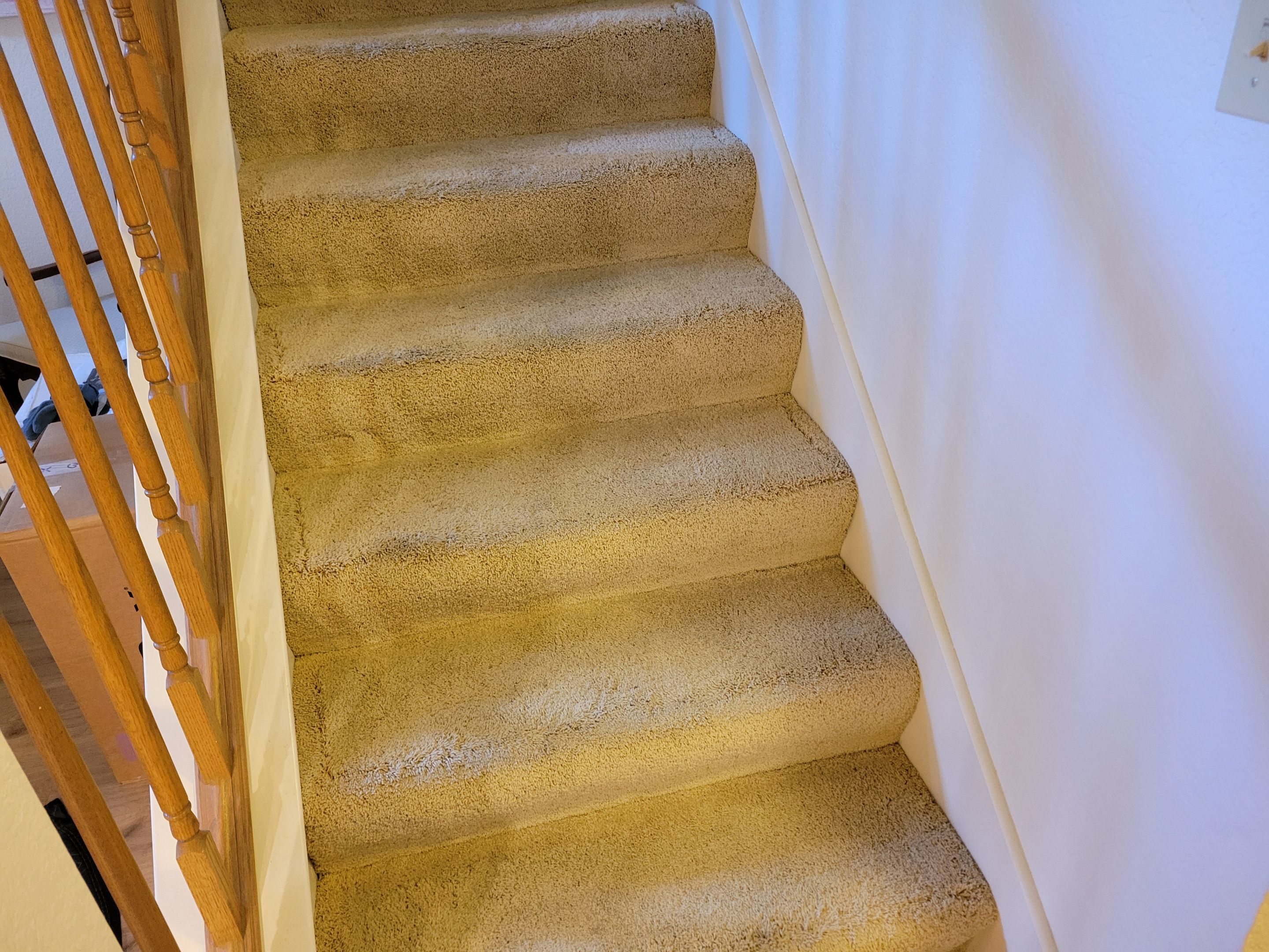 Carpet Re-stretching and Cleaning by Ardent Carpet Restore LLC