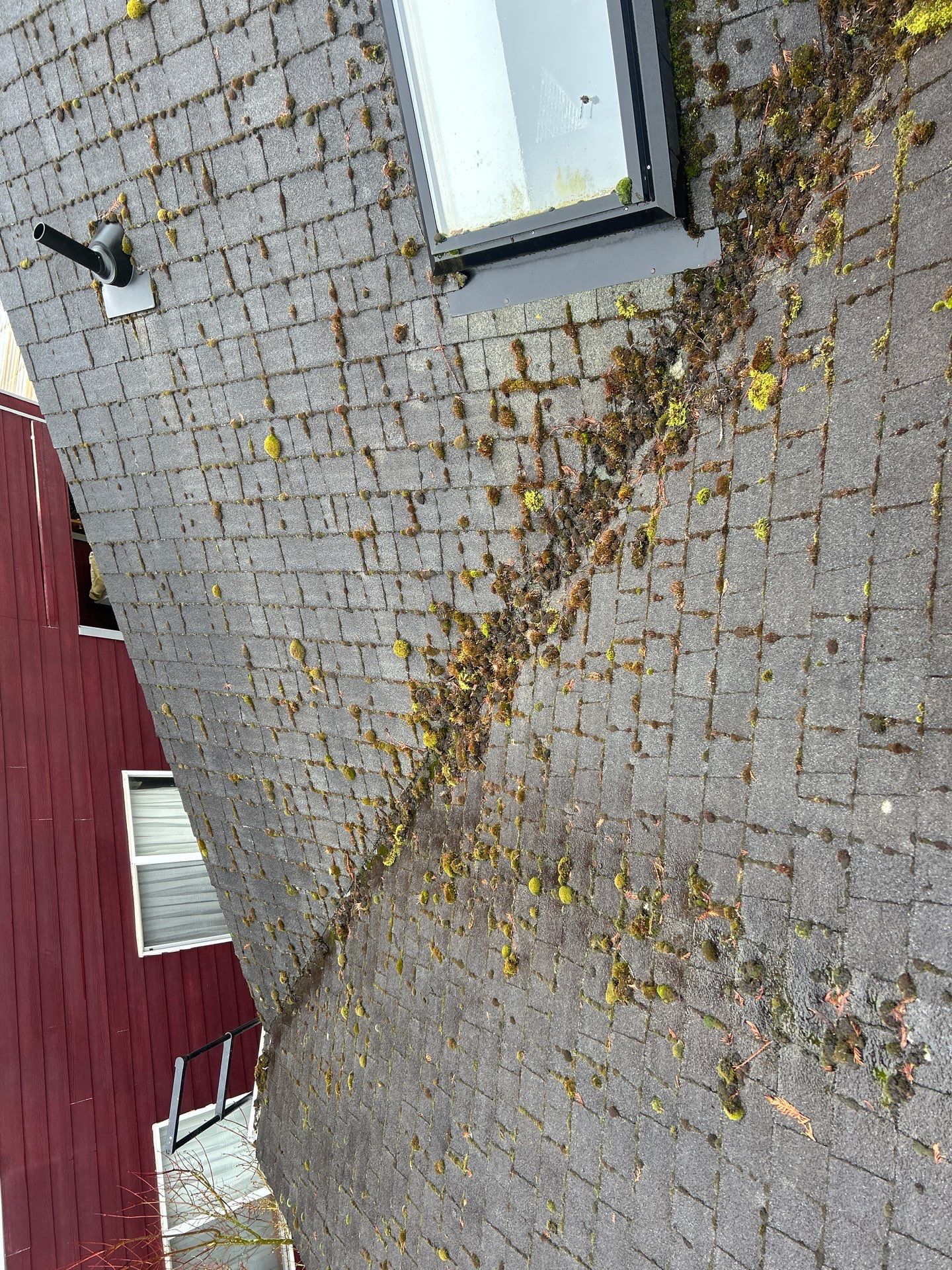 Project in Mill Creek by Connolly Construction Company