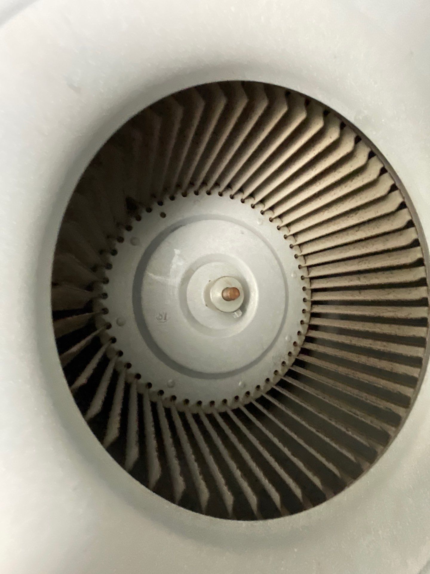 Air Duct Source Removal — Clermont by Hygienic Air, Inc