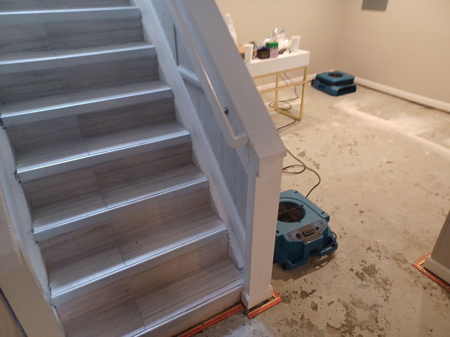 Project in Royal Oak by EzDry Water Mitigation & Property Restoration