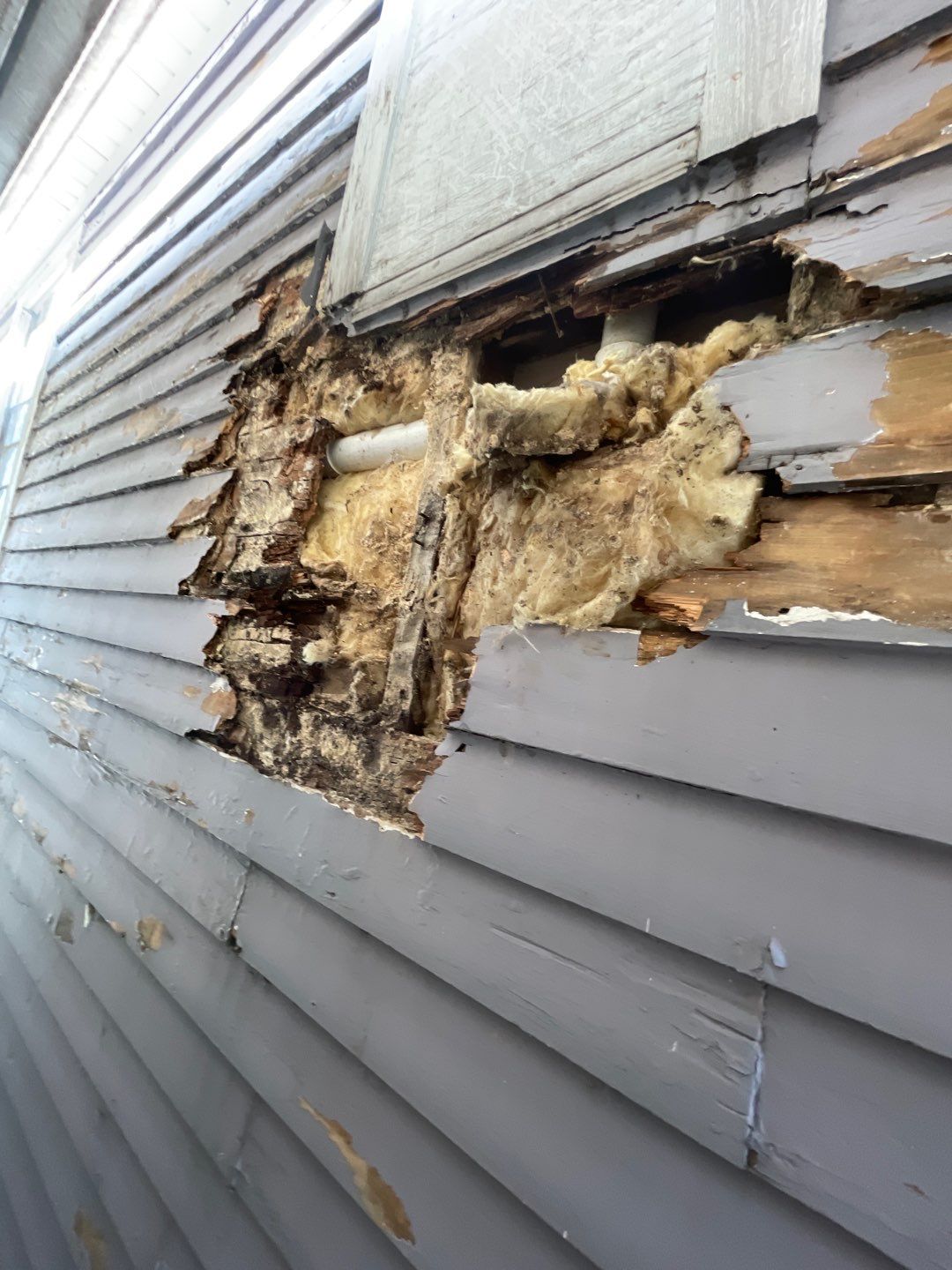 Megna Crew Showcase by Megna Painting