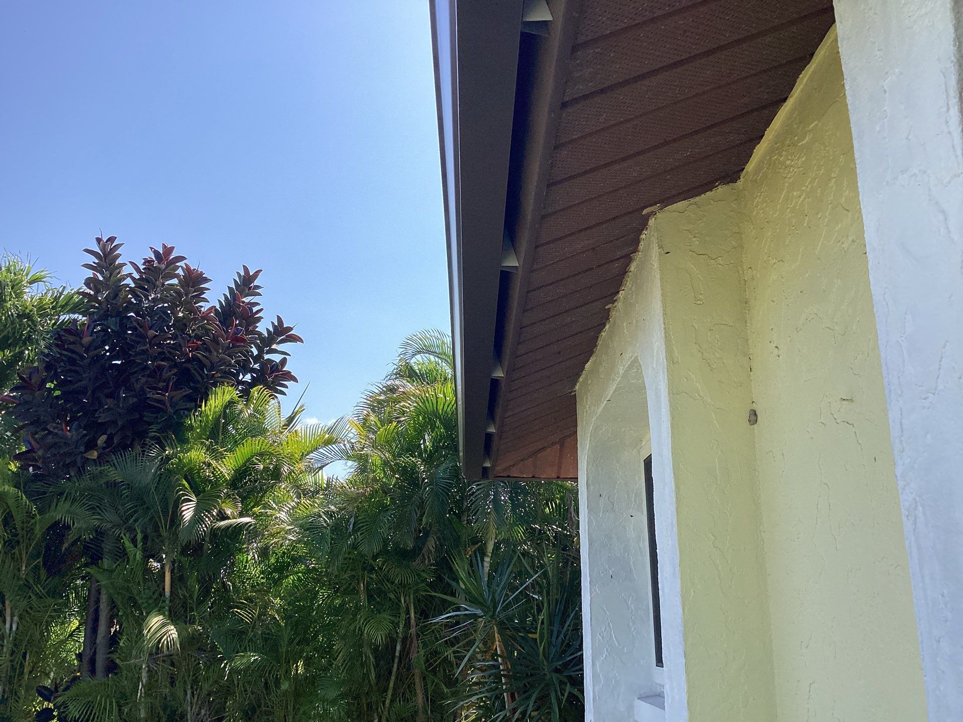 Musket Brown Seamless Gutters using 6 Inch Seamless Gutters in Cape Coral FL by Gutter Professors