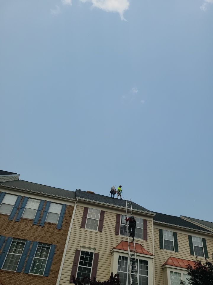 Sterling: CertainTeed Landmark Designer Shingles in Pewter by RM Banning, Inc.