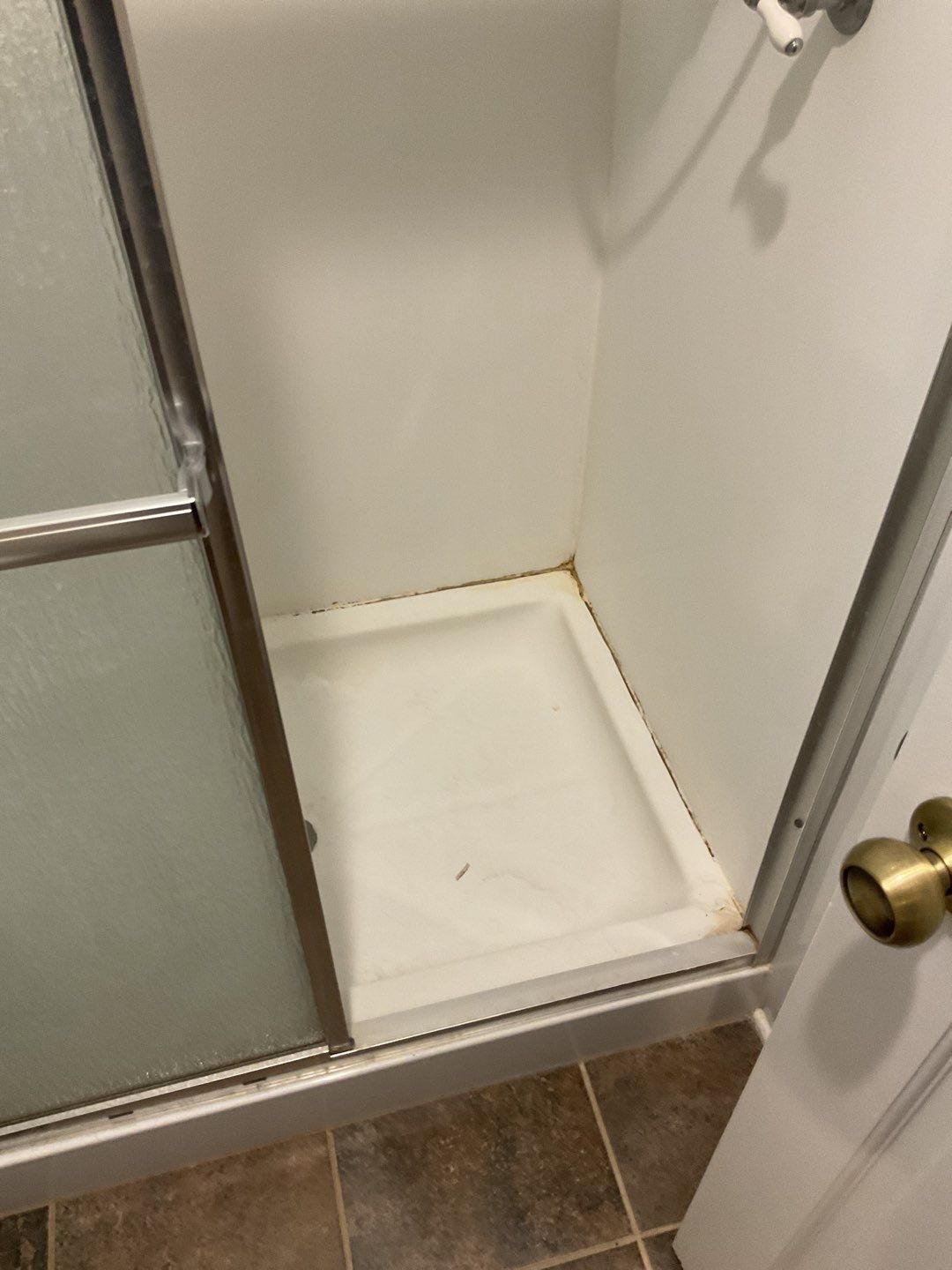 Acrylic shower, lifetime warranty by The Shower Company