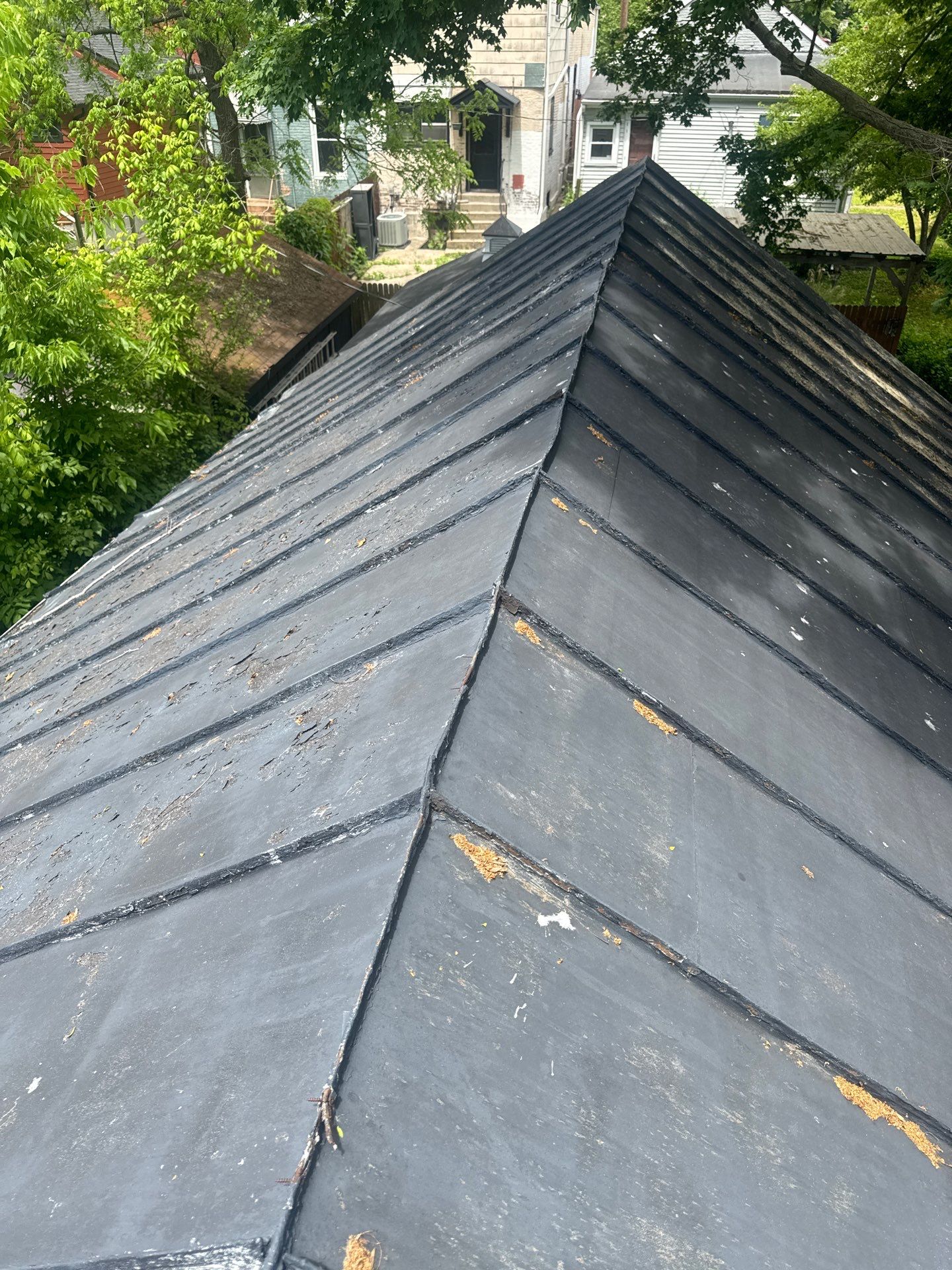 Newly framed by Storm Contracting 