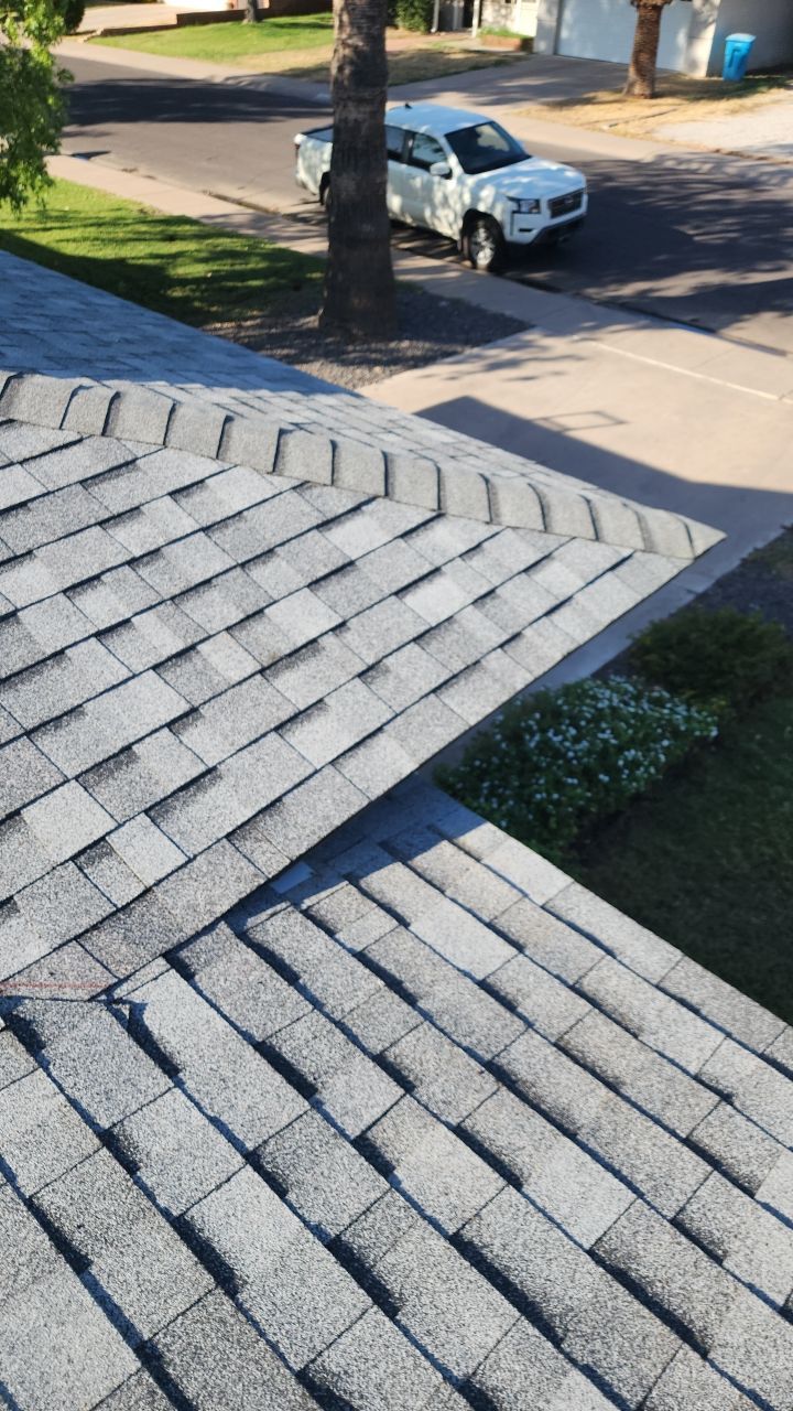 Silver Birch Shingles by Reimagine Roofing