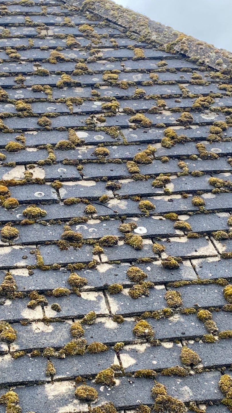 Roof Clean - Moss Removal using Honda 15lpm Low Pressure Washing Machine by Ges Exterior Cleaning ltd