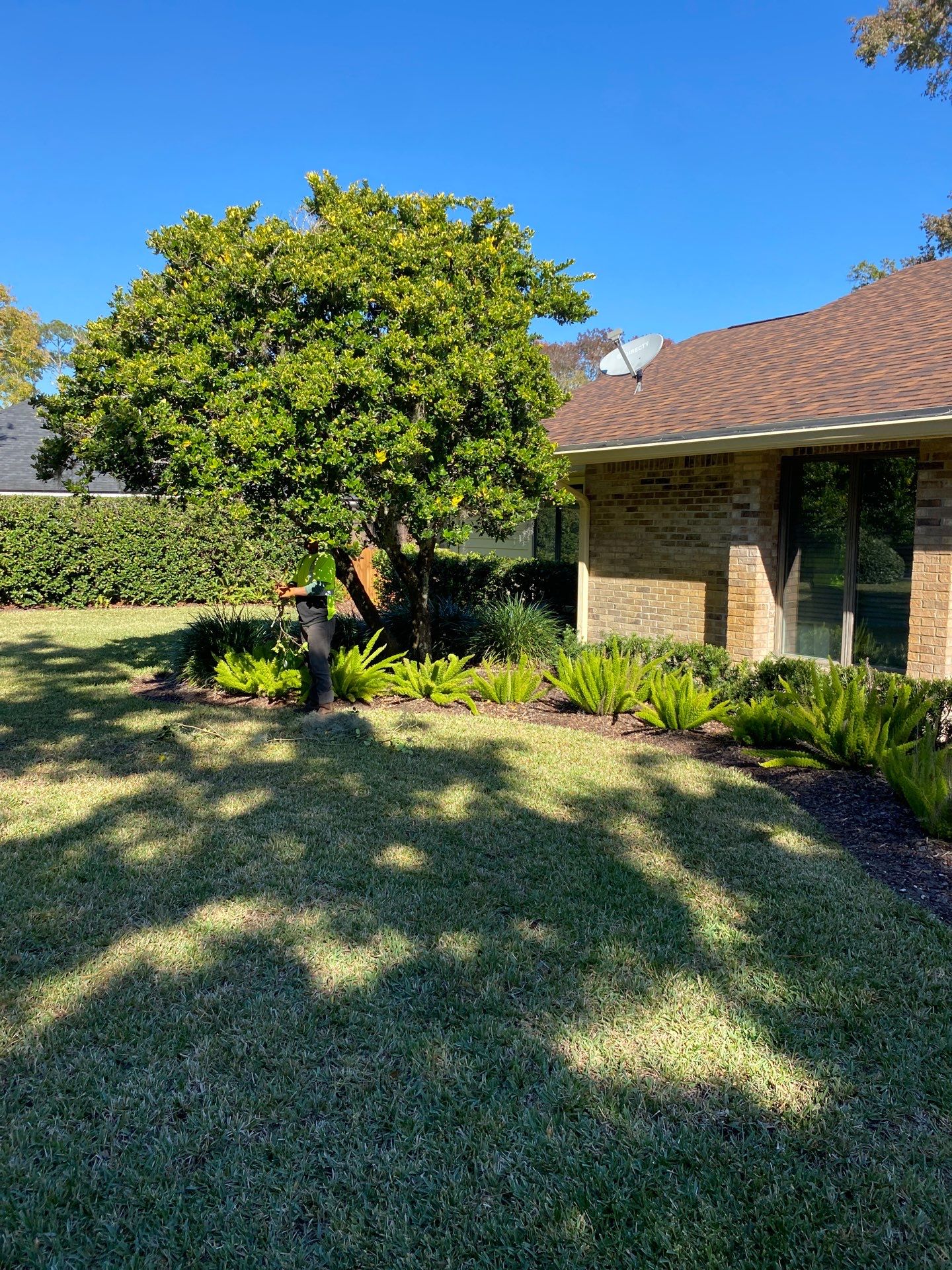 Deerwood Resident | Extreme Clean Up by ProGreen Services