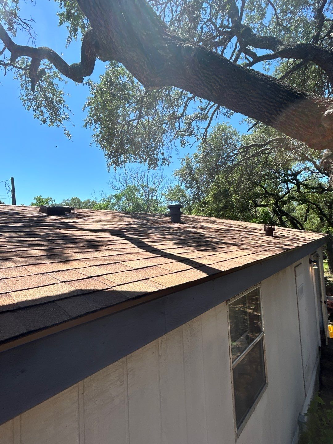 Desert Tang - Owens Corning TruDefinition Duration Oakridge by RoofsOnly.com