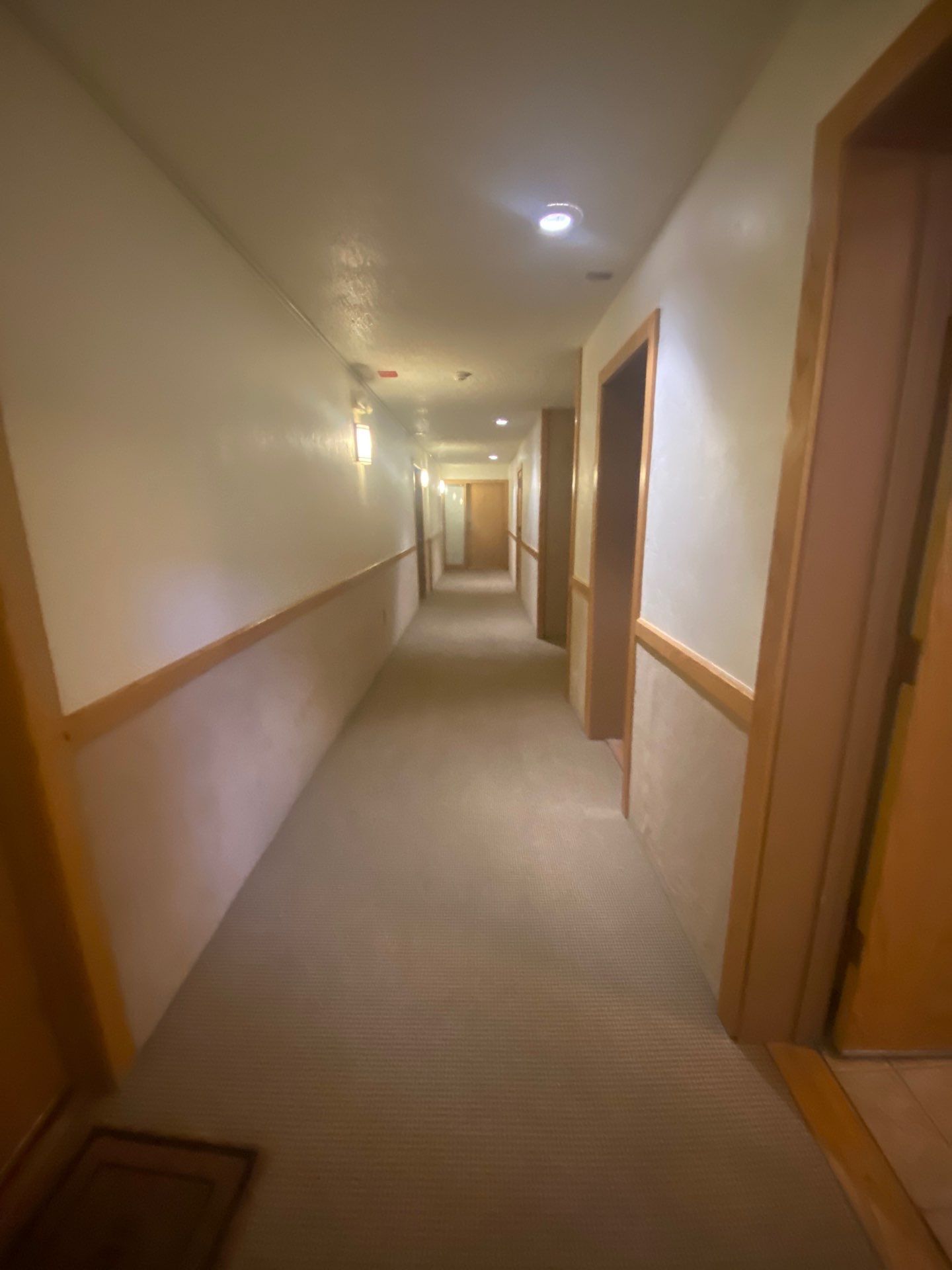 Property Management using seasonal maintenance by Gold Peak Property Management