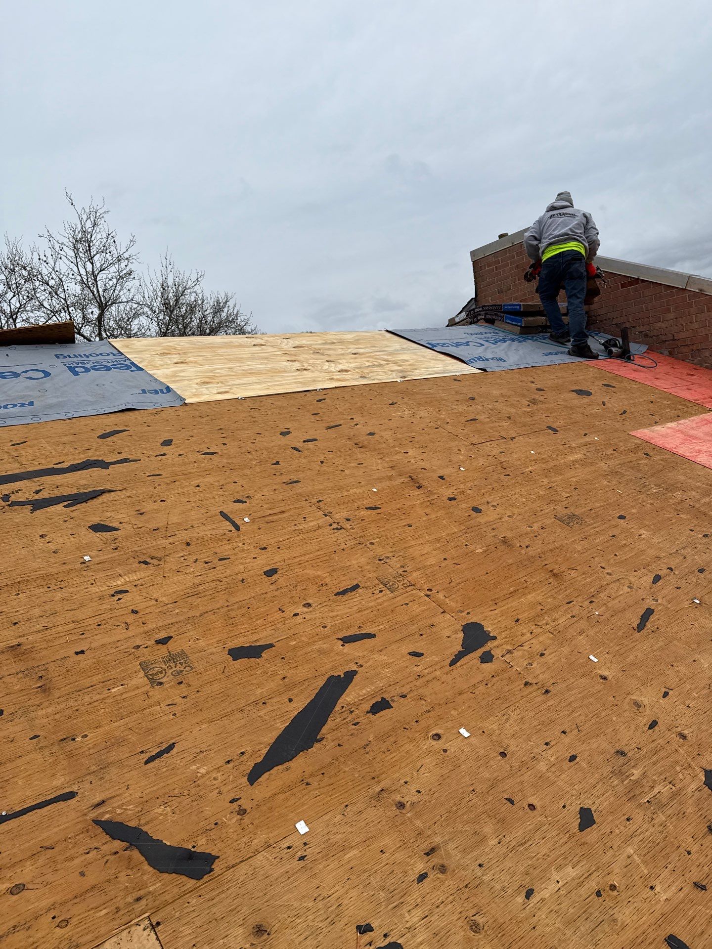 Springfield: Residential Roof Replacement with CertainTeed Landmark Pro in Max Def Red Oak by RM Banning, Inc.