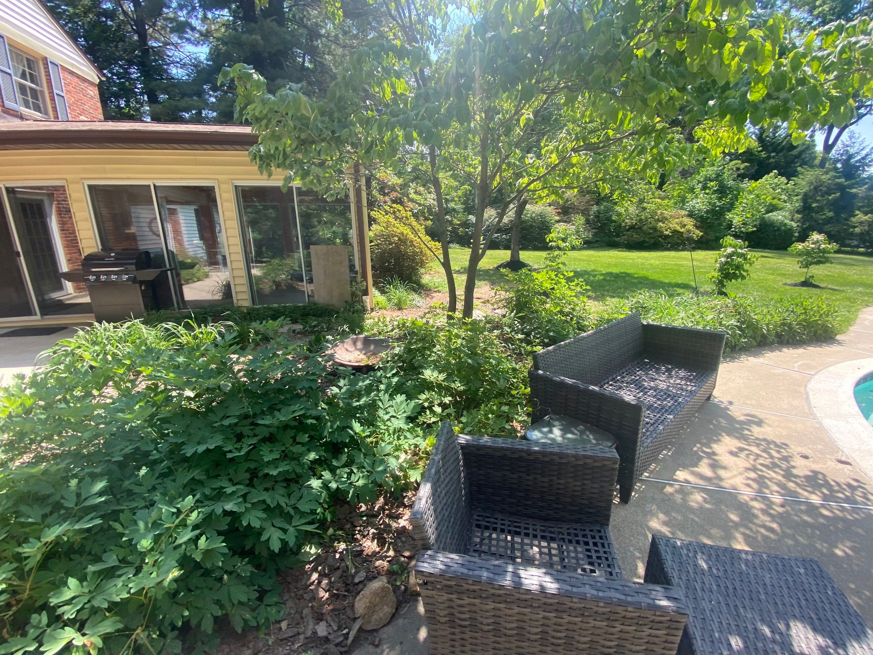 Landscape cleanup & drainage by The Smet Companies, LLC