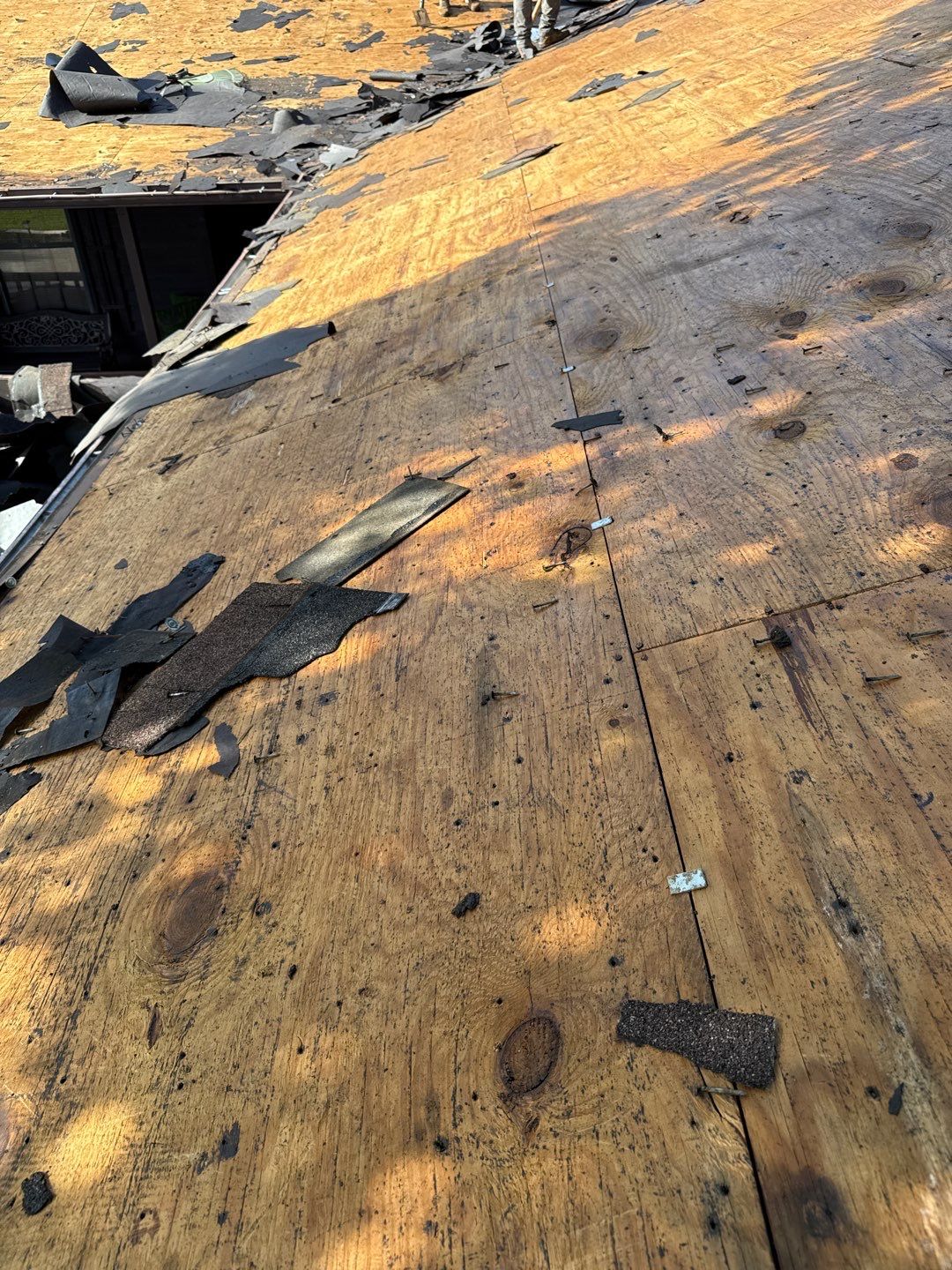 Project in Wimauma 33598 by Mitchell Roofing Company LLC 