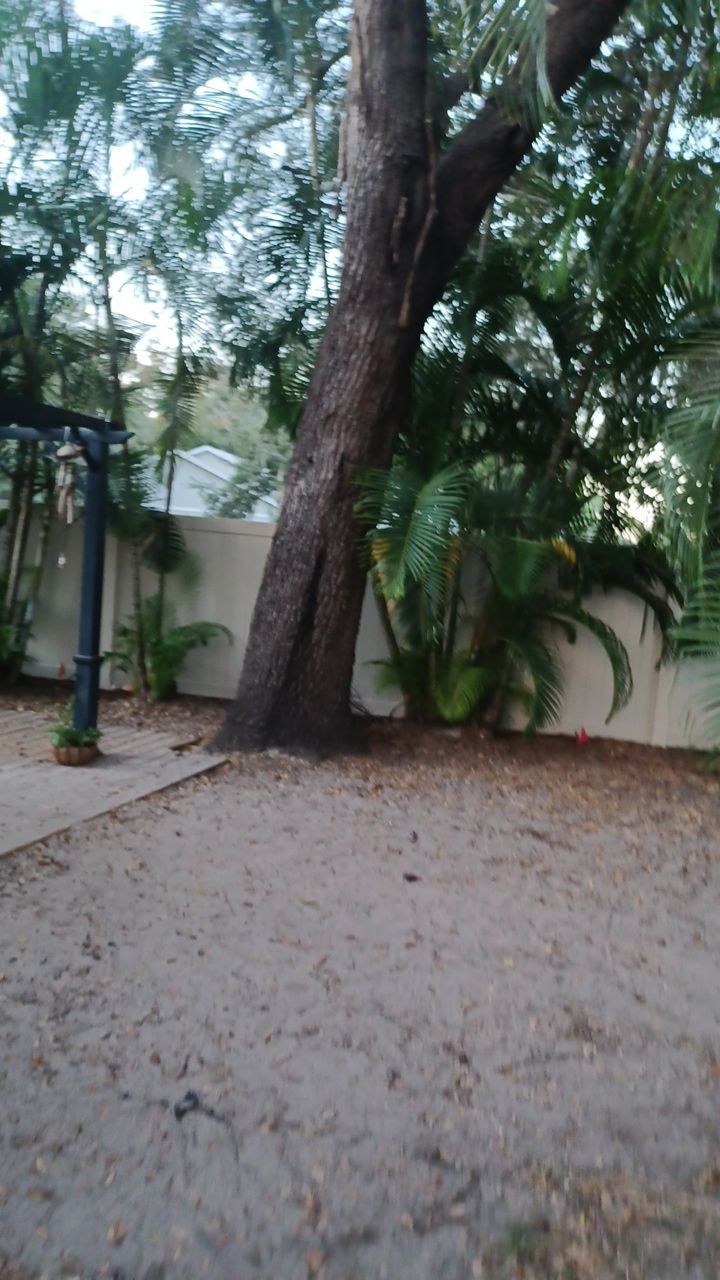 Sarasota, FL 6ft. Tall Tan Vinyl Privacy Fence  by Asap fence and gates, LLC