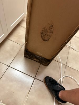 Project in Palm Bay, FL