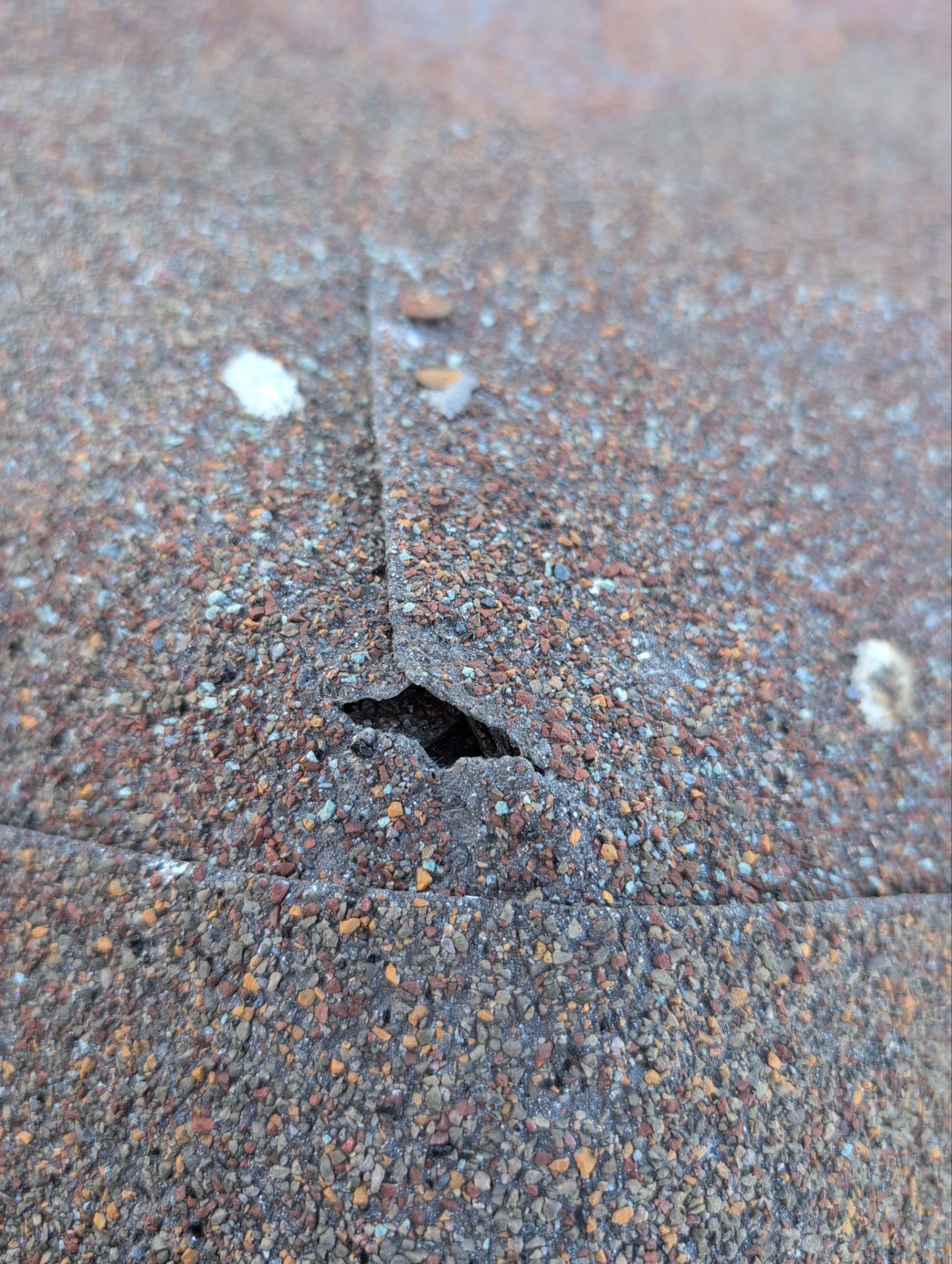 Roof Replacement & Seamless Gutters in Ozark by Table Rock Design + Build