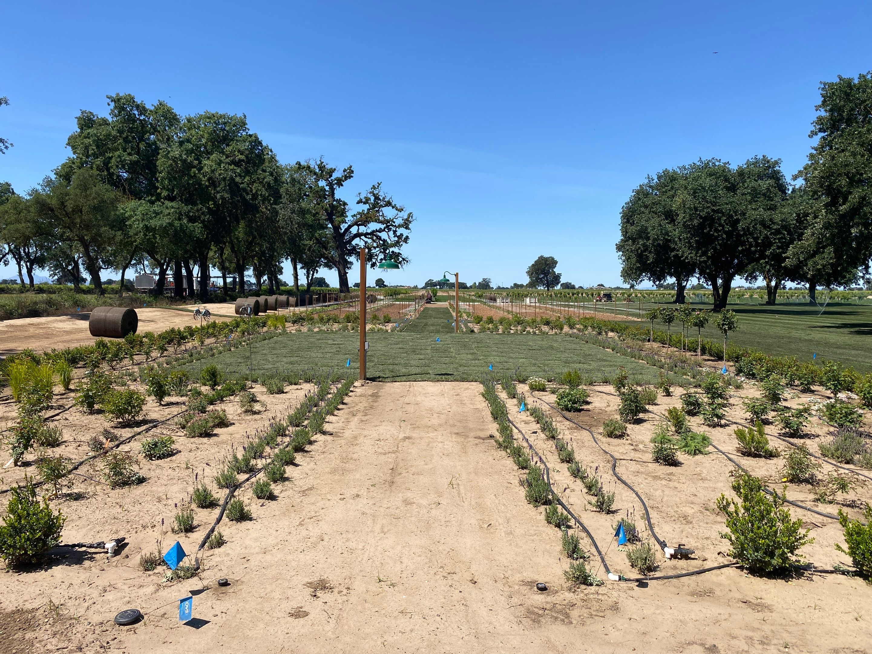 Project in Lodi by A - G Sod Farms