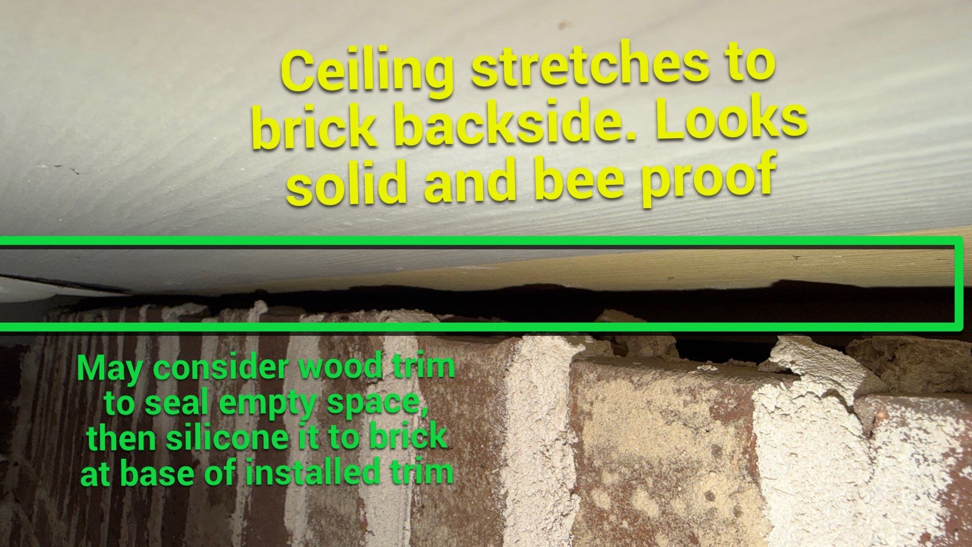 Mossy Mystery Bees by Rockwall Honey Bee Company