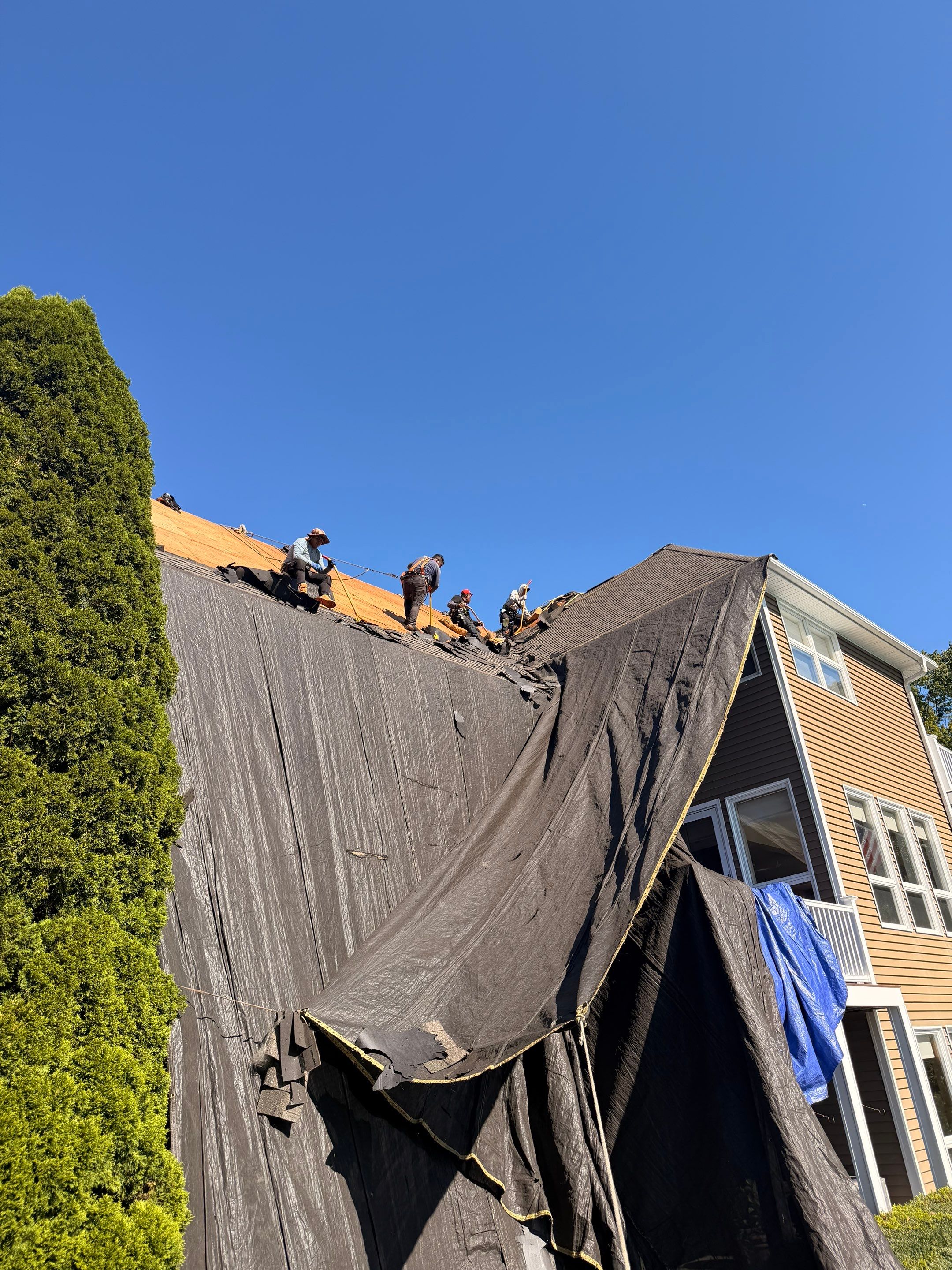 Brand new roof by DiGiorgi in Shelton by DiGiorgi Roofing and Siding Inc
