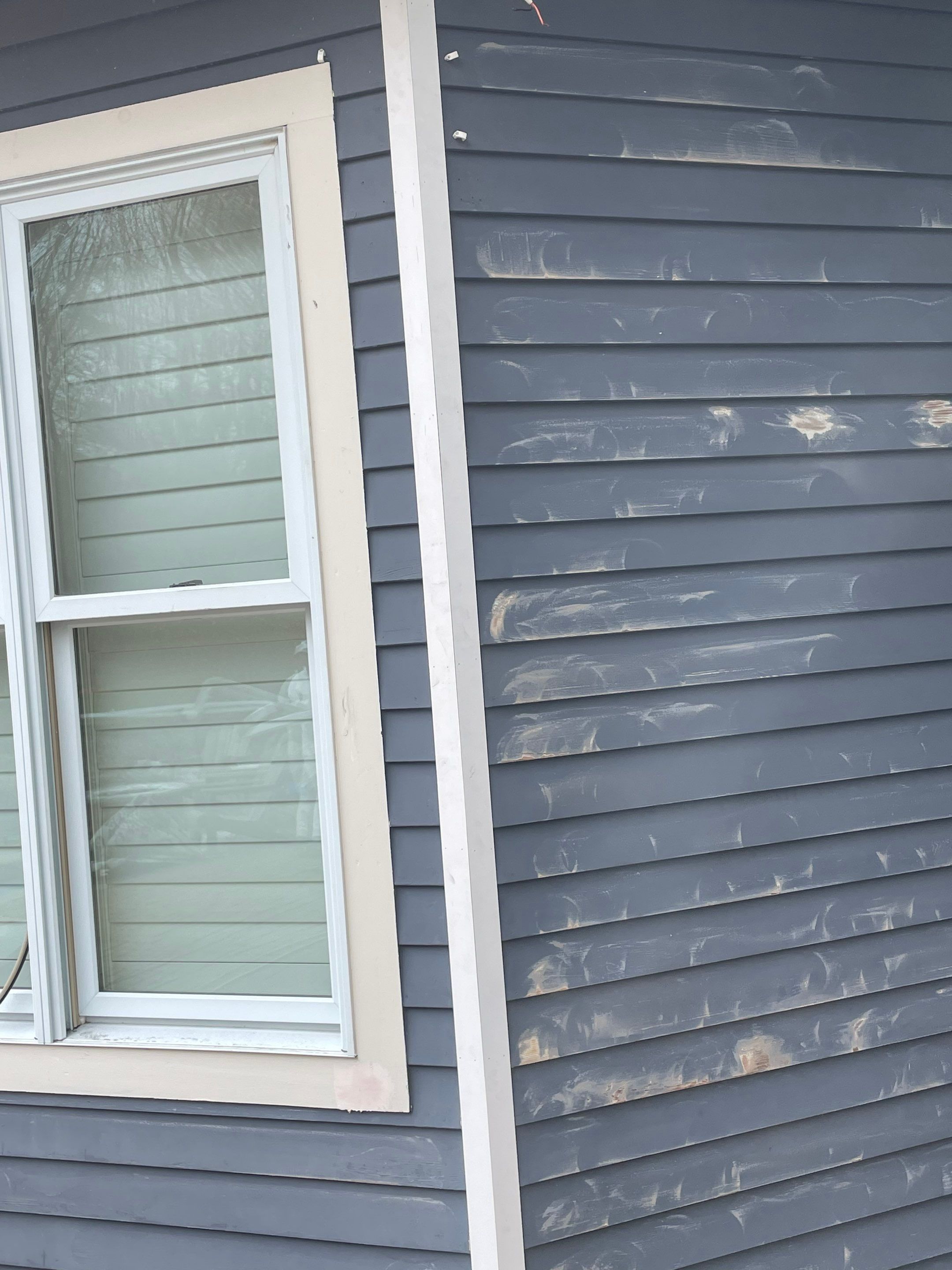 Exterior Painting & Carpentry Repairs by EXCELLENCE | CARTO