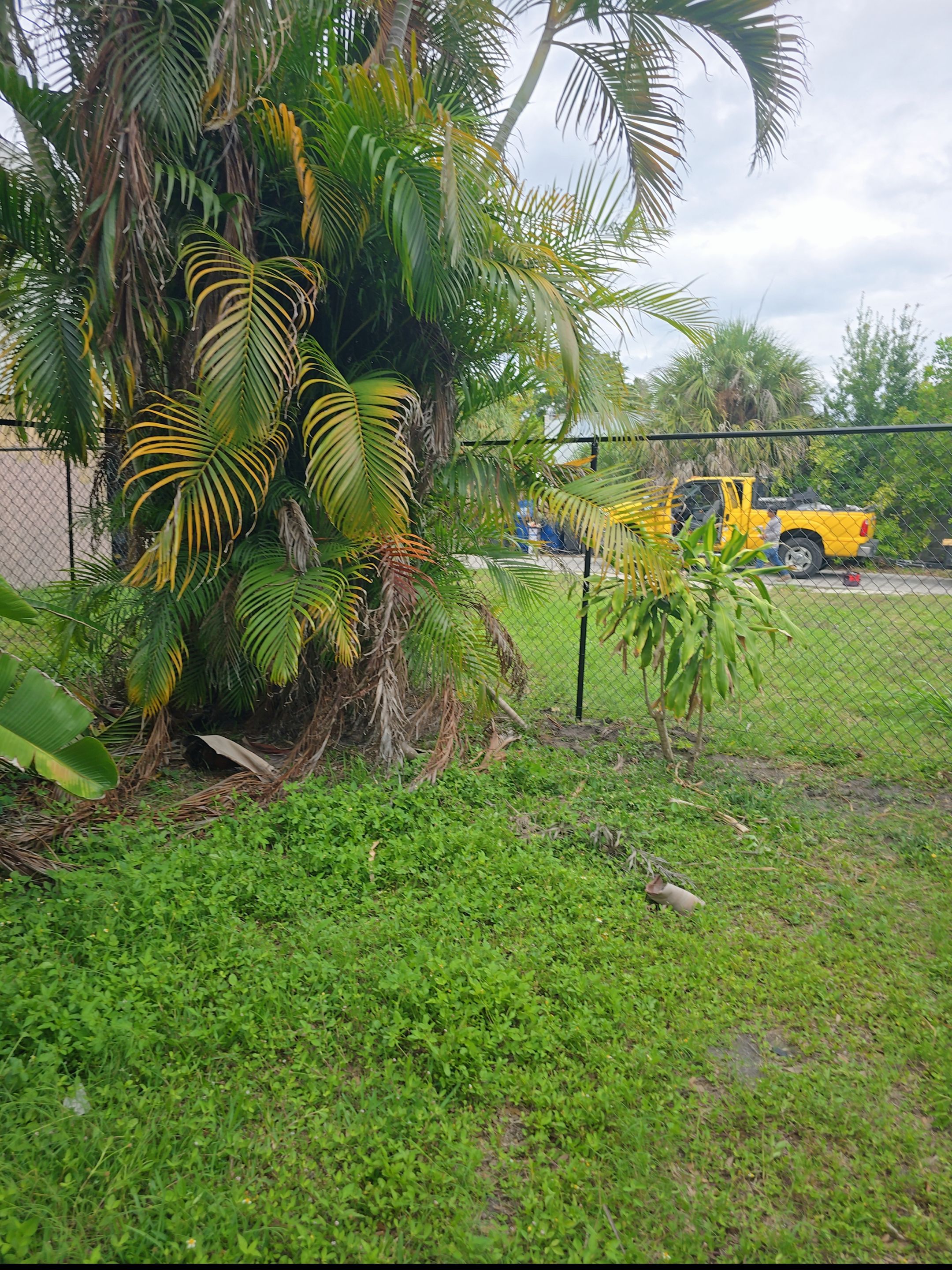 Black Vinyl Chain Link Fence Installation in Bradenton by True Fence LLC