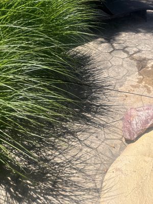 Gutter Cleaning in Roxbury, NJ — Gallo Bros job photo