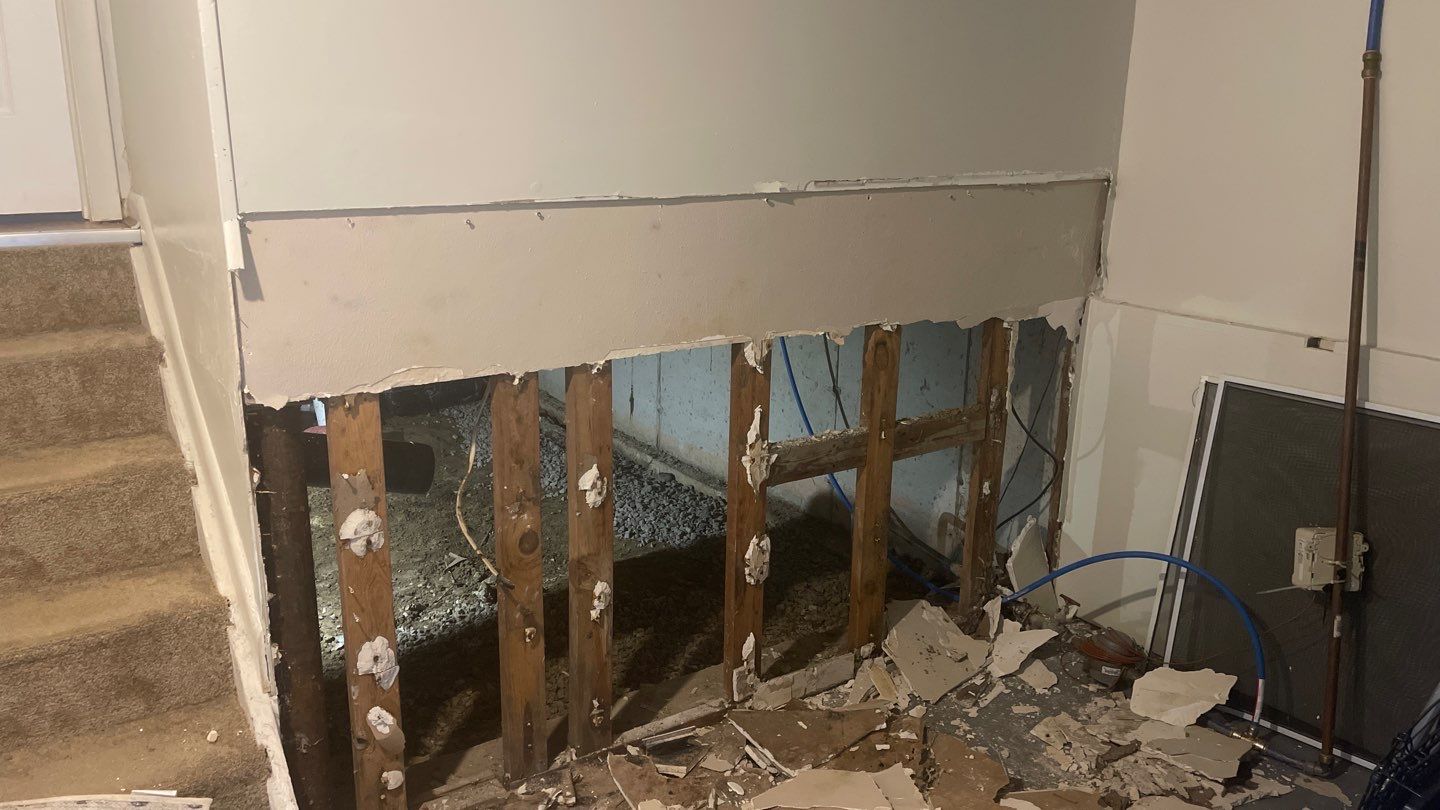 Crawl Space Project and Encapsulation by Toledo Basement Repair 