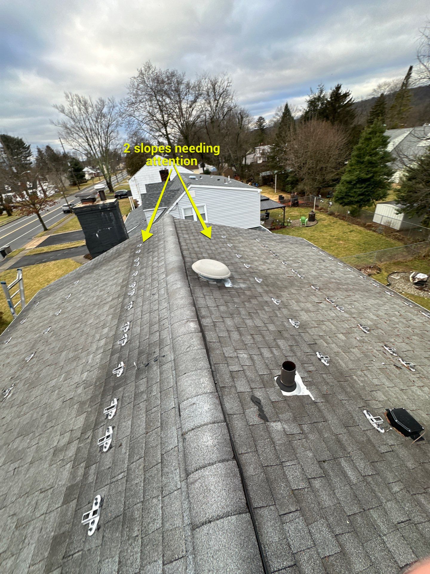 Silver Birch Shingles by Reimagine Roofing
