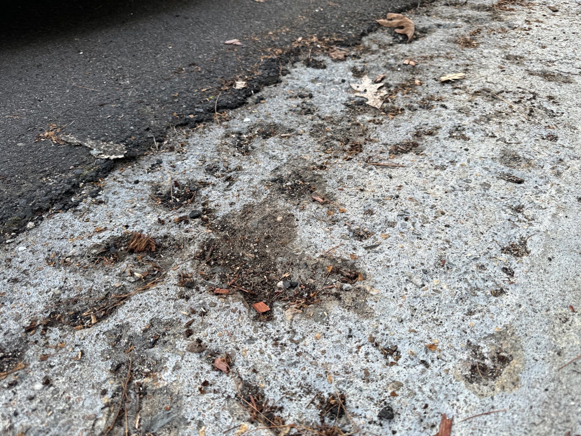 Garage in Nashua, NH 03062 by Symphony Concrete Coatings