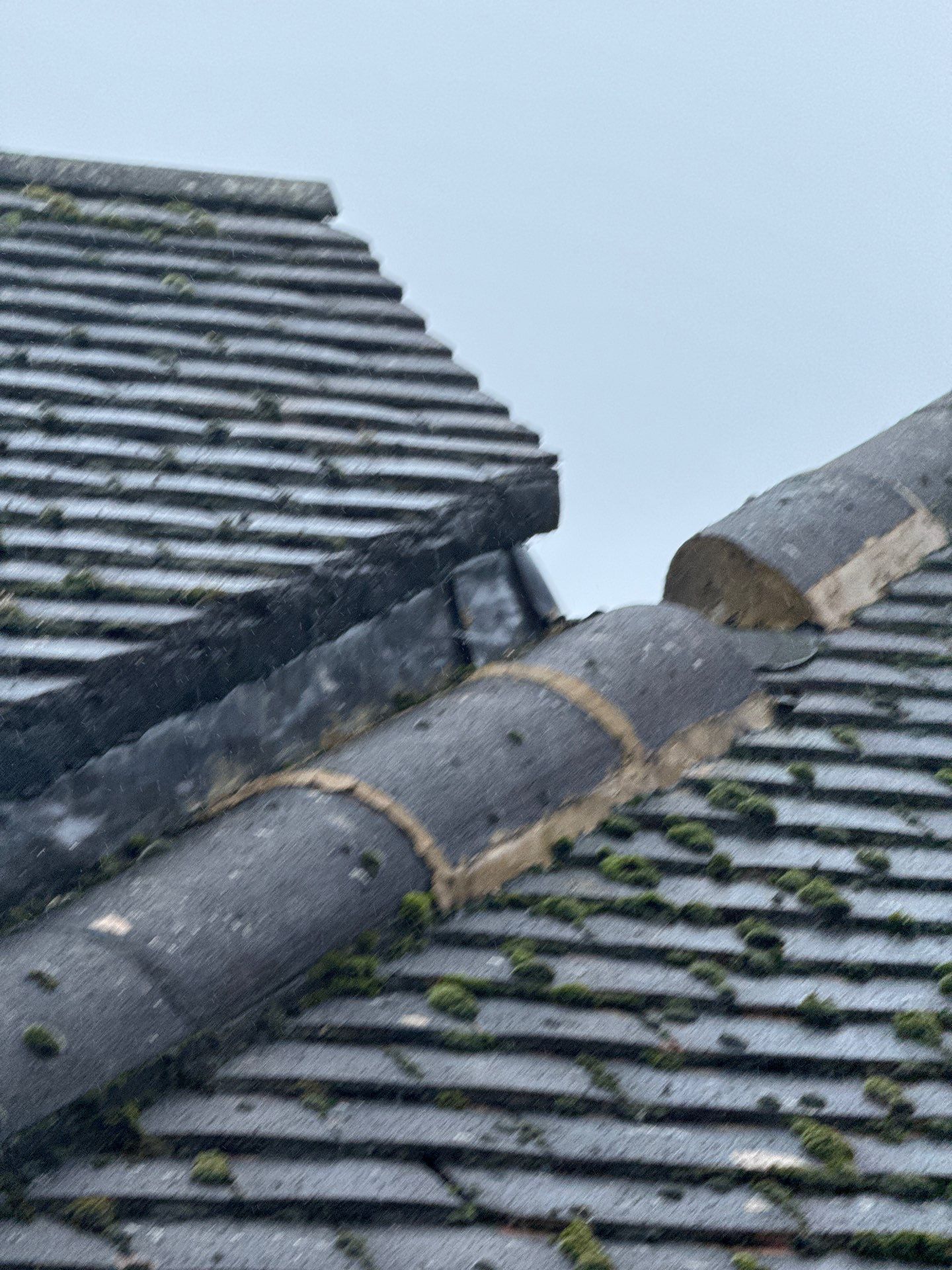 Commercial Roof Clean -Block Of Flats using Honda 15lpm Low Pressure Washing Machine by Ges Exterior Cleaning ltd
