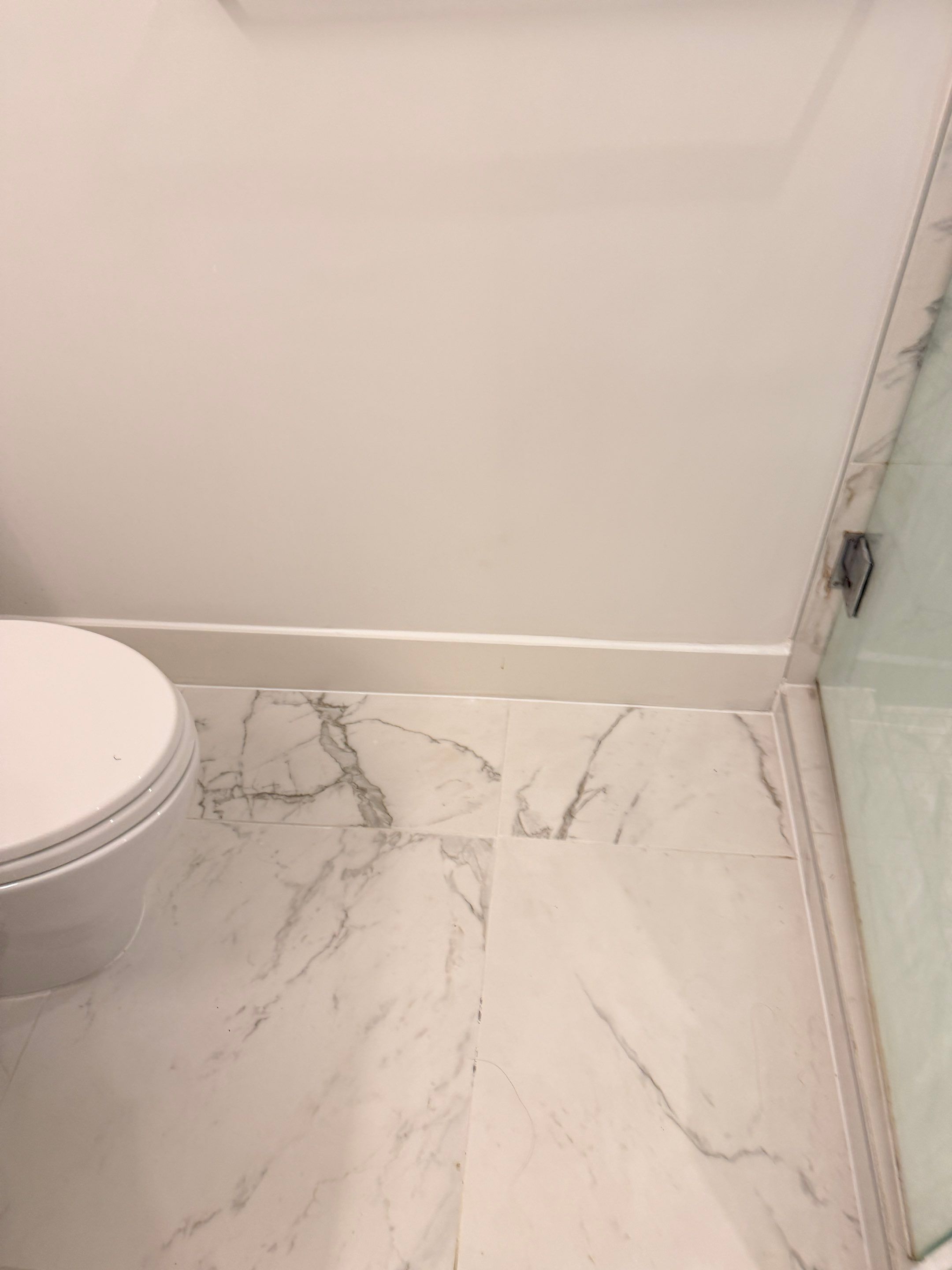 Bathroom Refresh & Mold Remediation in Tub and Shower Area by YVR Construction Group