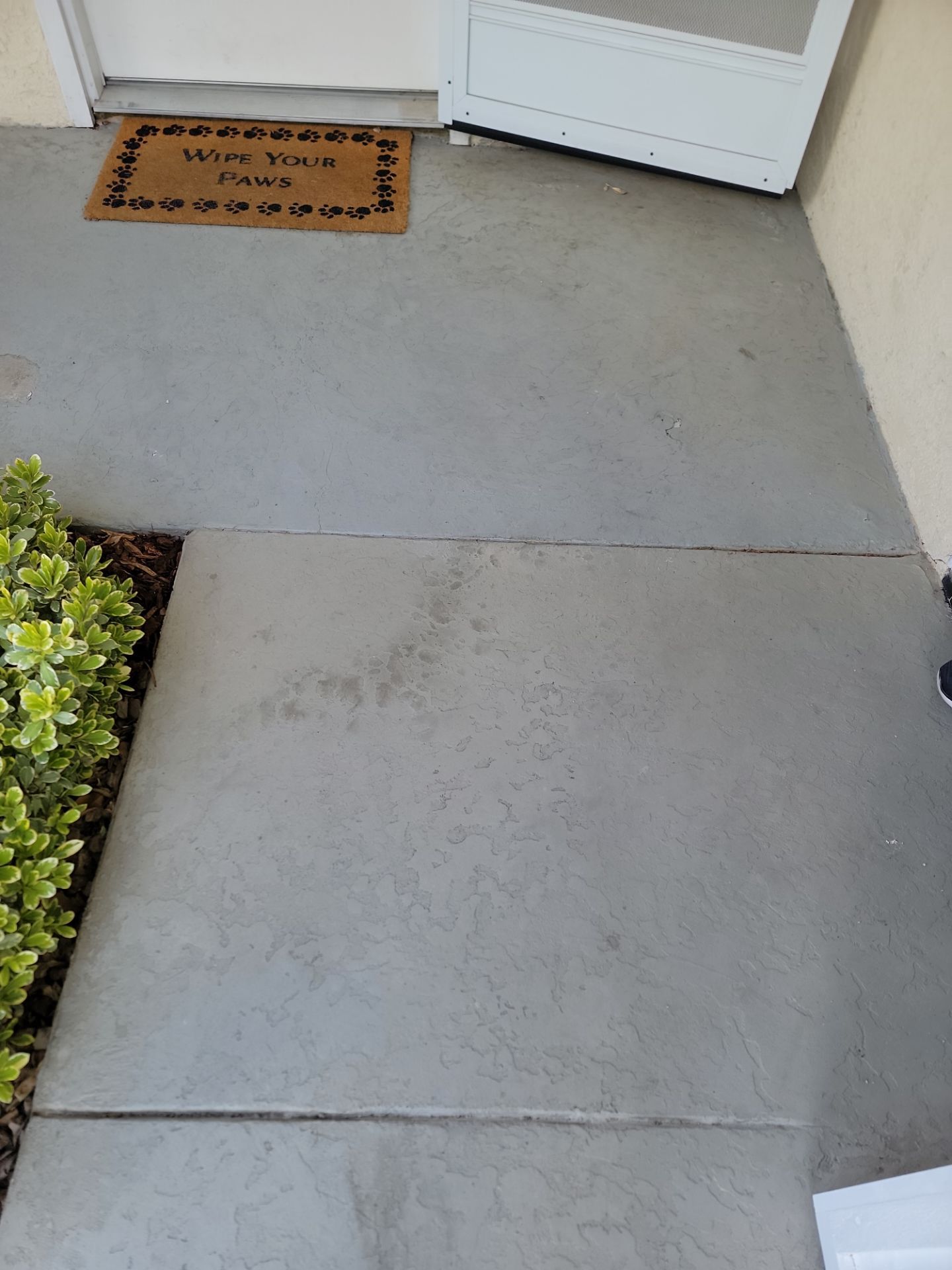 Front Porch transFLOORmation by MGP Coatings