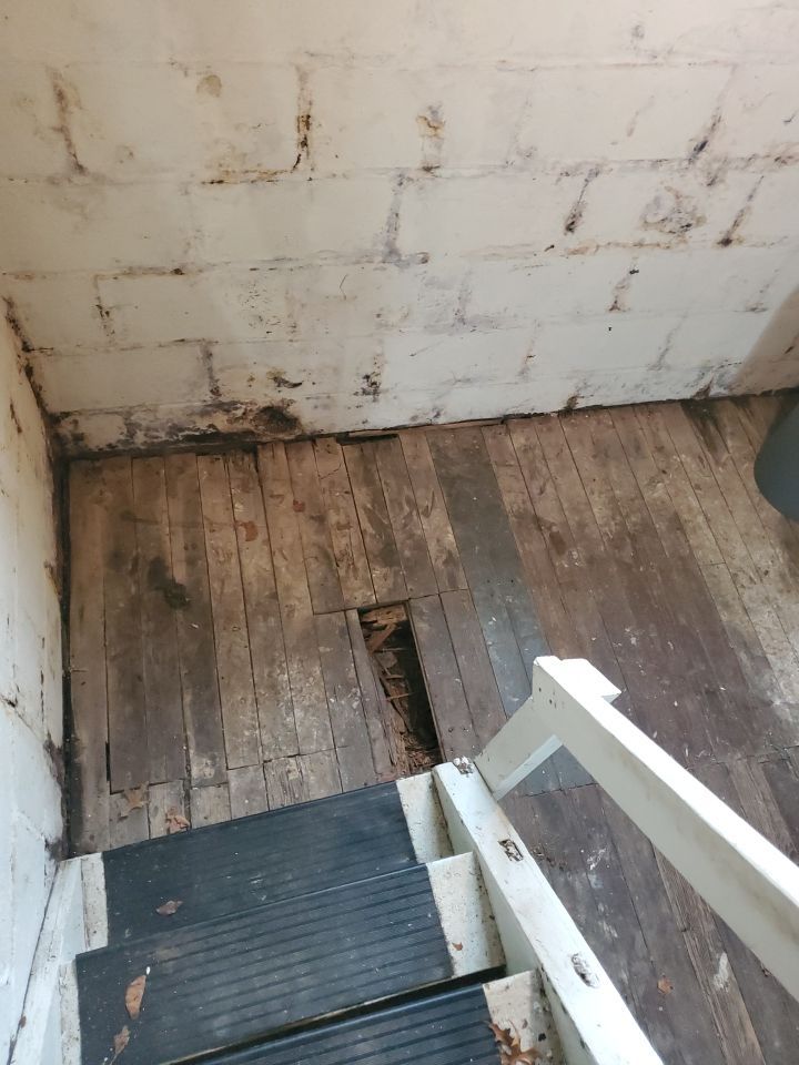 Tree Removal using Tree Removal by Mike Jones & Sons Tree Service LLC 