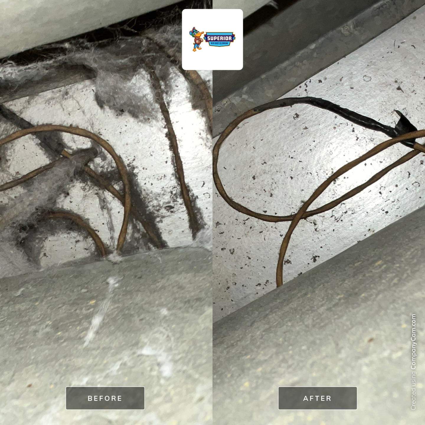 Air Duct Cleaning With a Vacuum Truck in Zelienople, PA by Superior Air Duct Cleaning