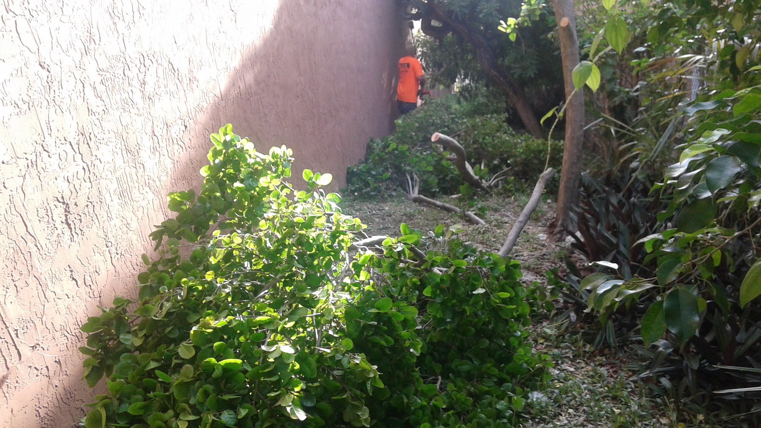 General Maintenance by
M.A.B. Landscaping & Property Maintenance