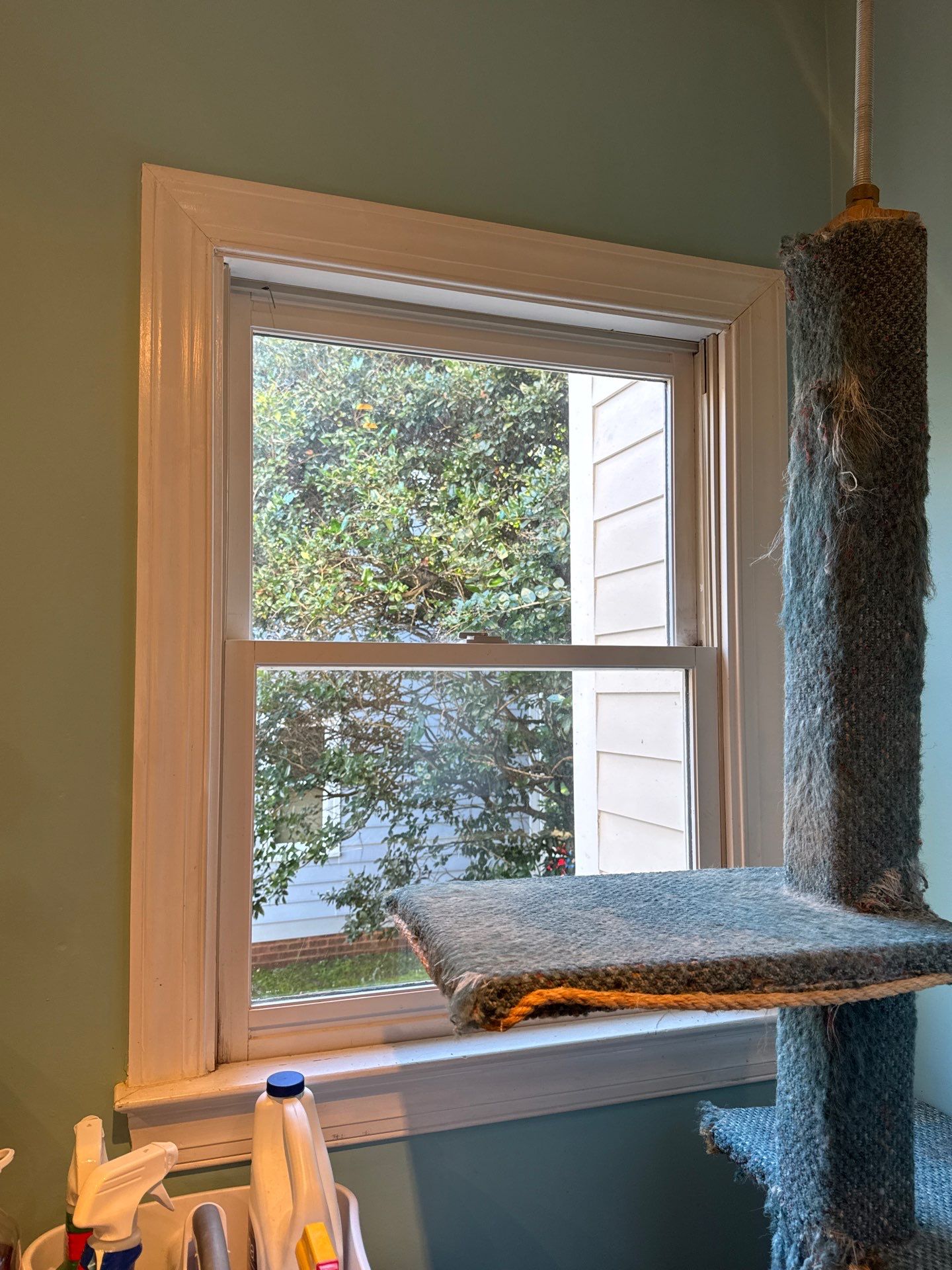 Project in Cary by Window Works