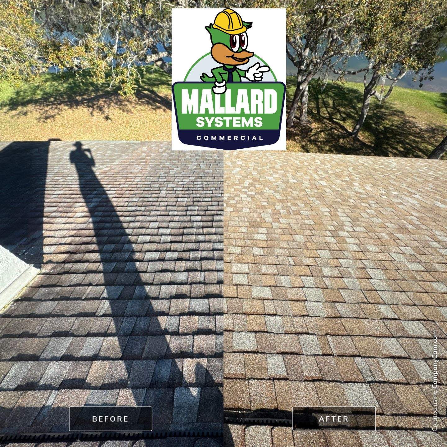 Shingle Roof Cleaning by Mallard Systems