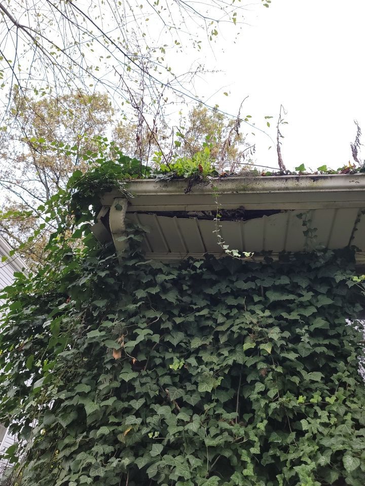 Brand: Atlas Pinnacle Color: Pristine Black by Eagle Eye Roofing