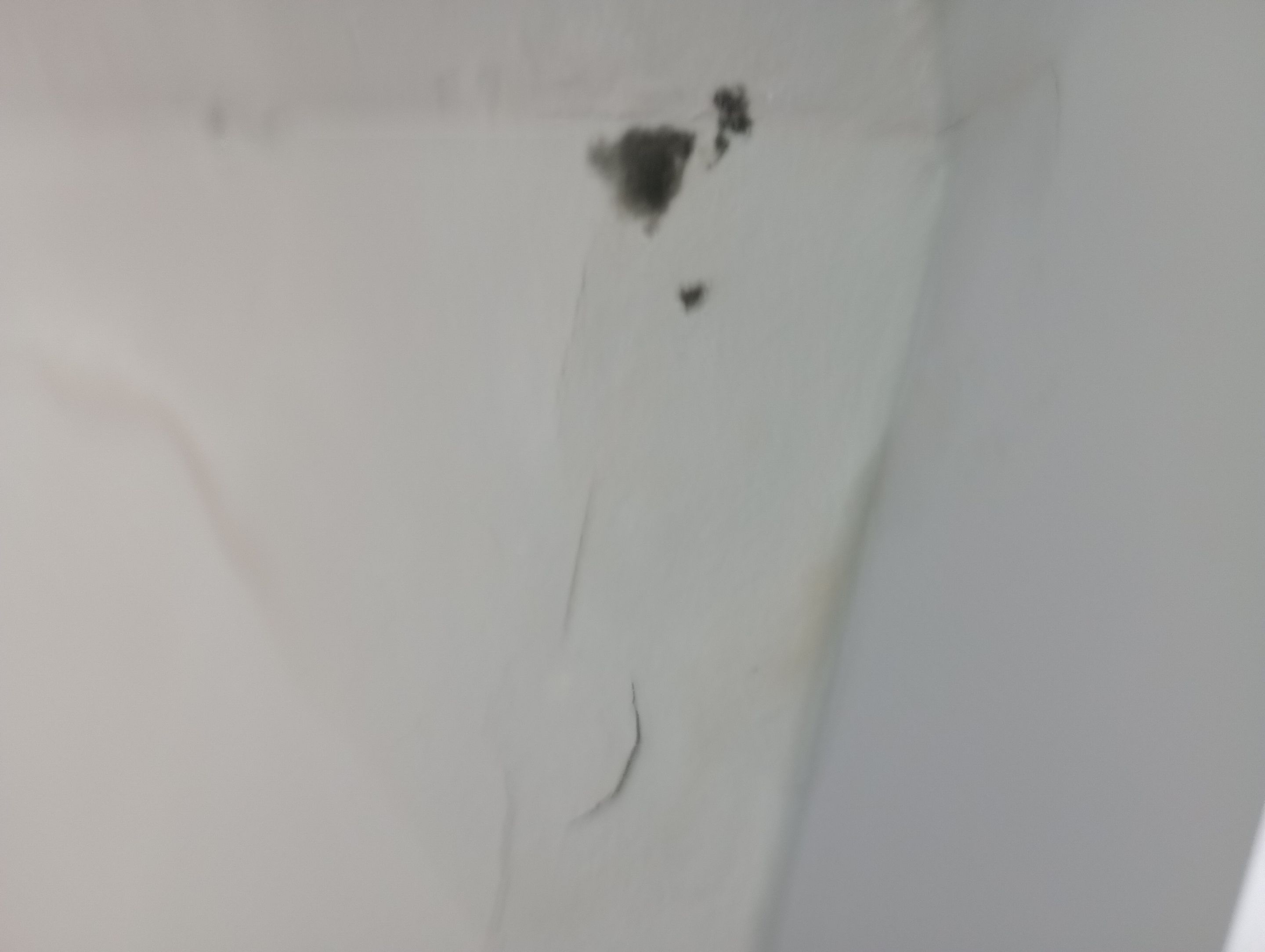 Finished Mold Remediation in Louisville, KY by ANR Restoration